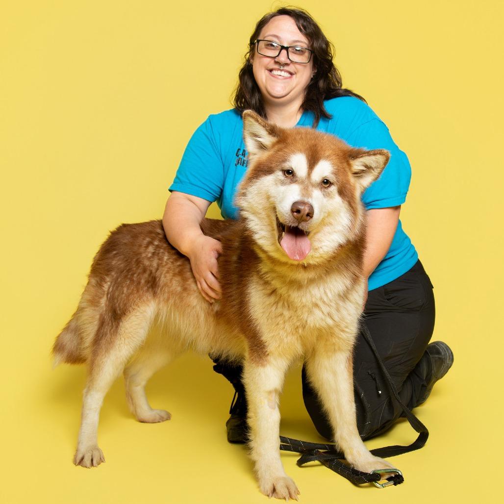 Enlarge Shenzi/ Shirley, a Adoptable Mixed Breed in Batavia, OH image 5/6