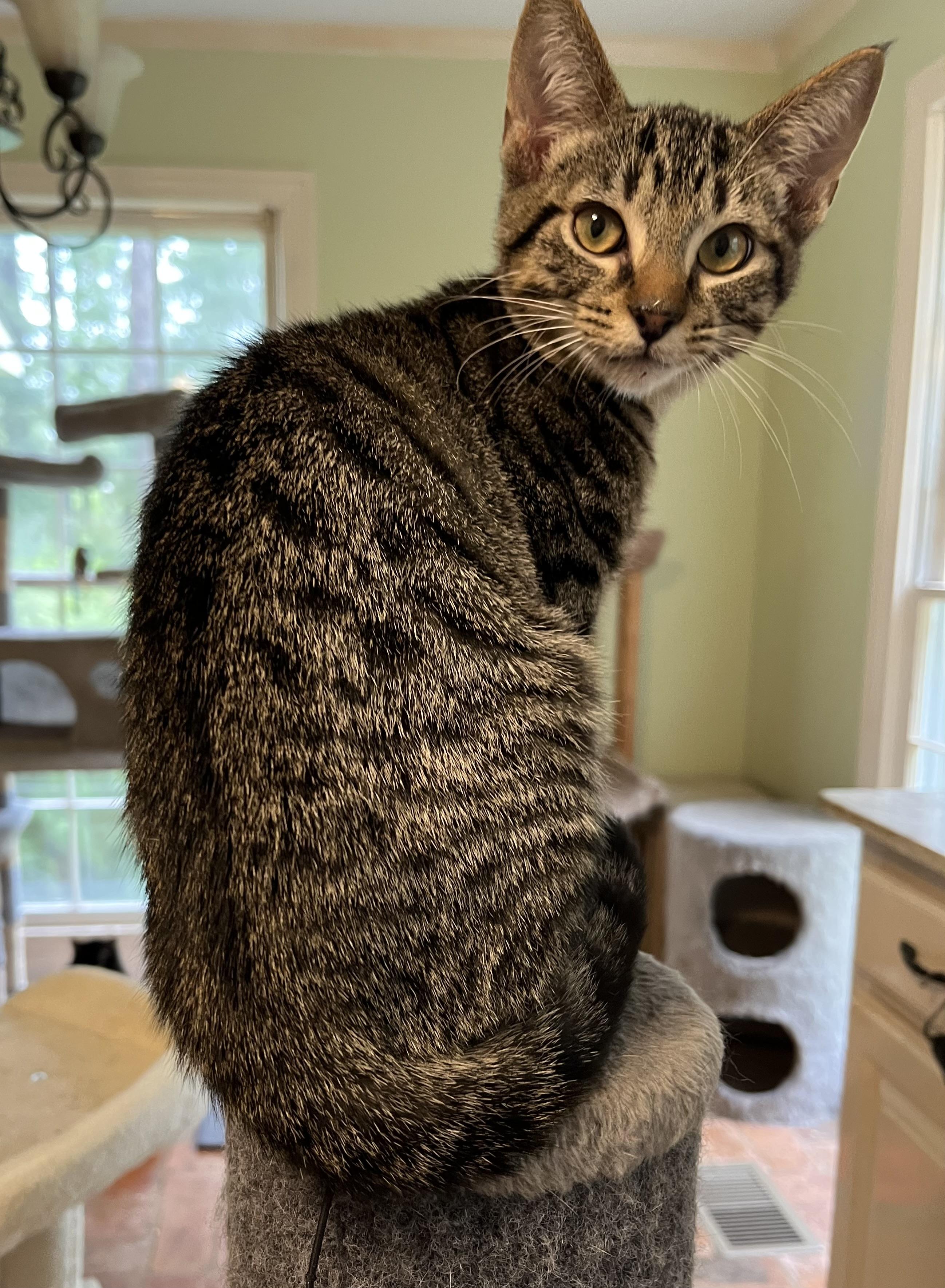 Mr. Bones (& see Paw Paw)