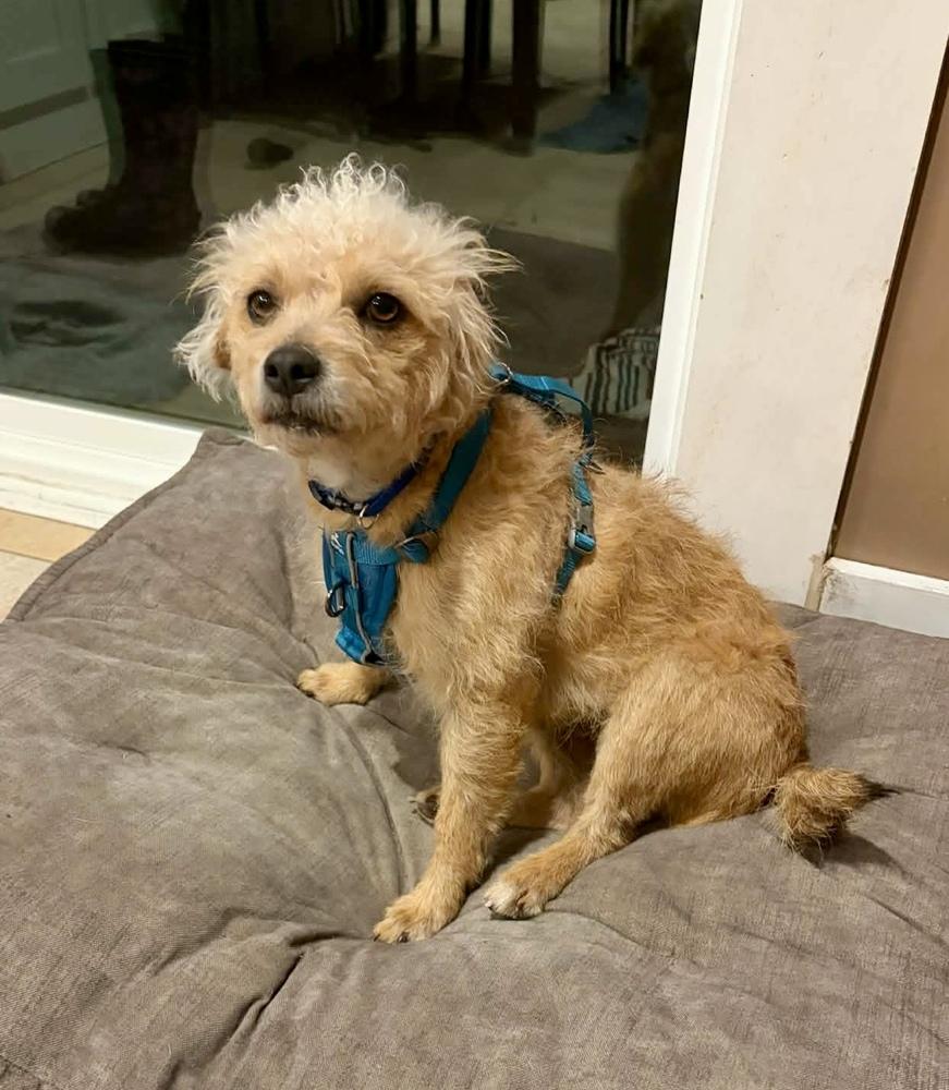 Mamacita thumbnail 5