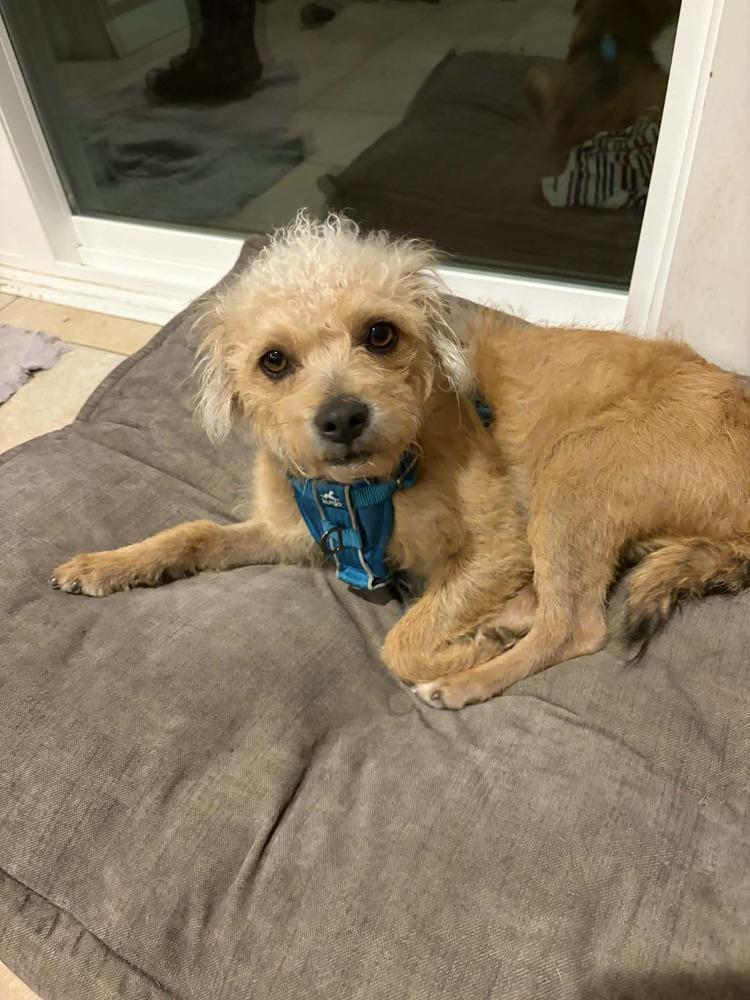 Mamacita thumbnail 6