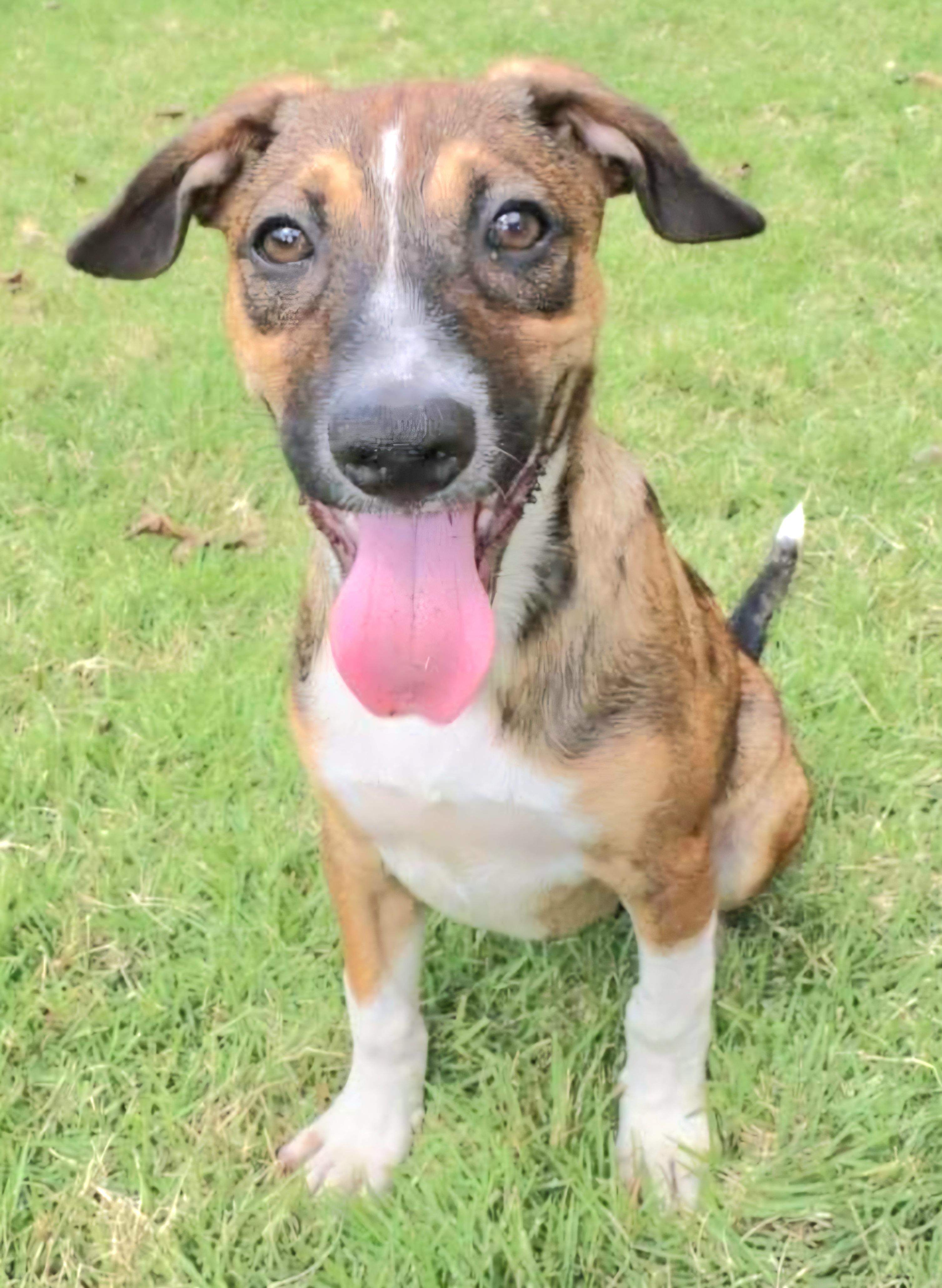 Ricky "i Am A thumbnail 2