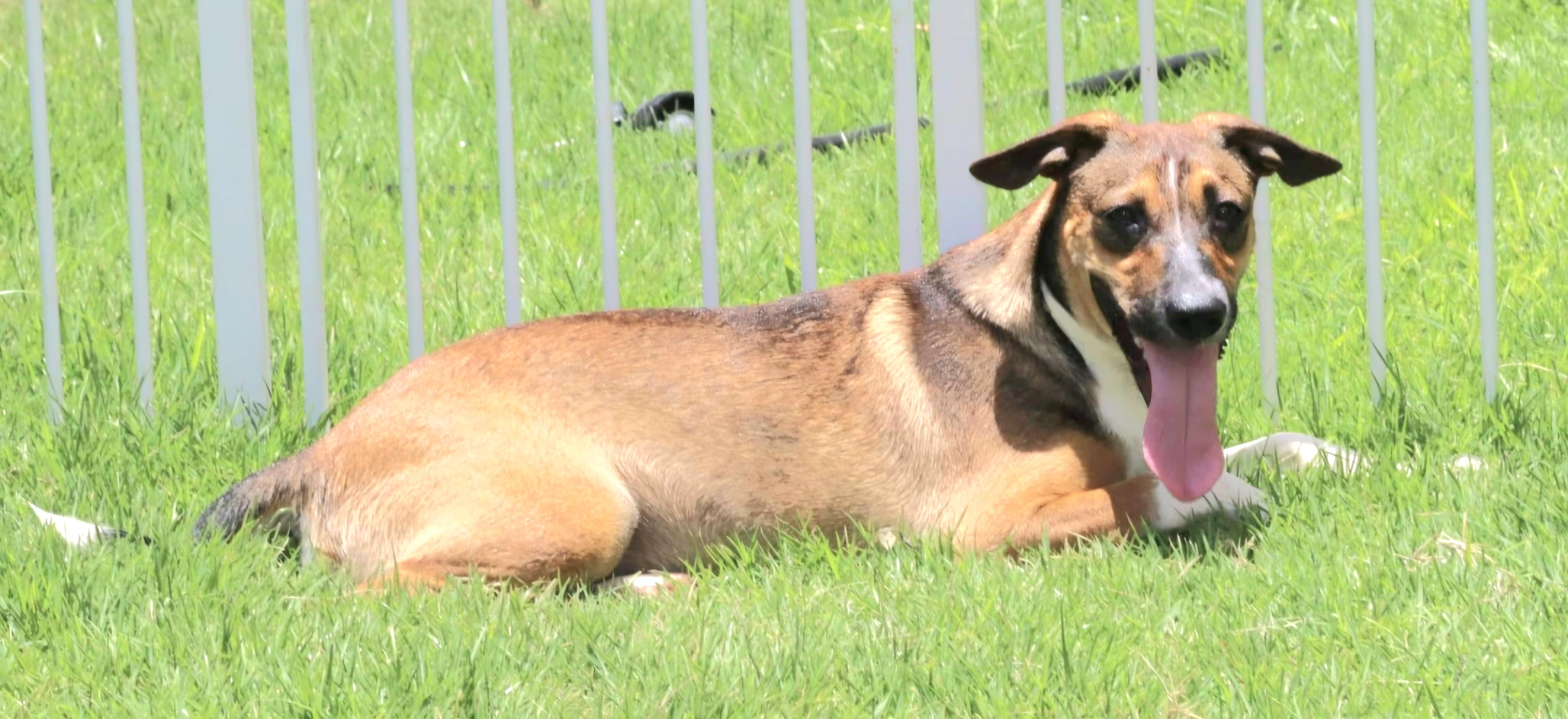 Ricky "i Am A thumbnail 3