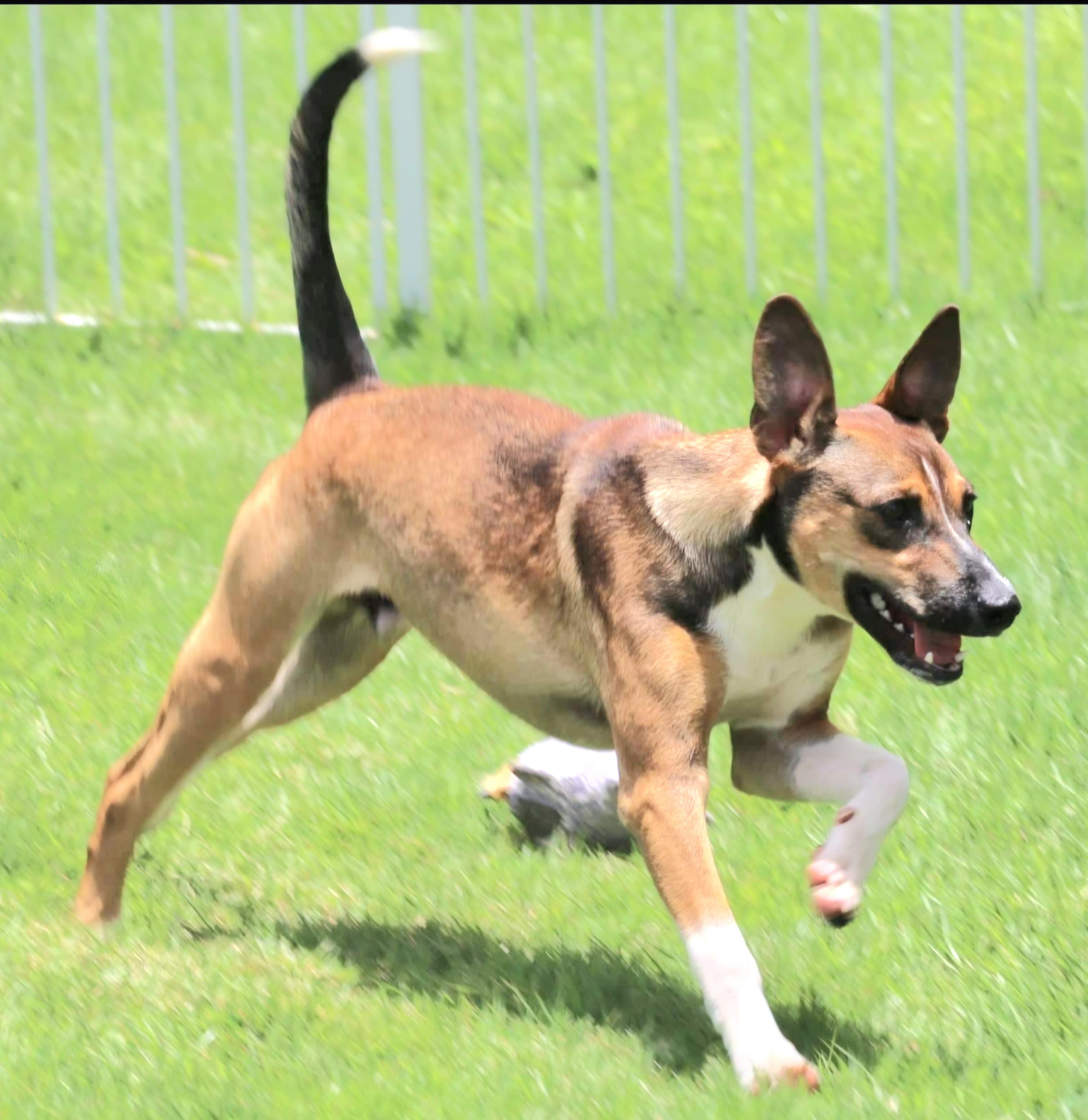 Ricky "i Am A thumbnail 4