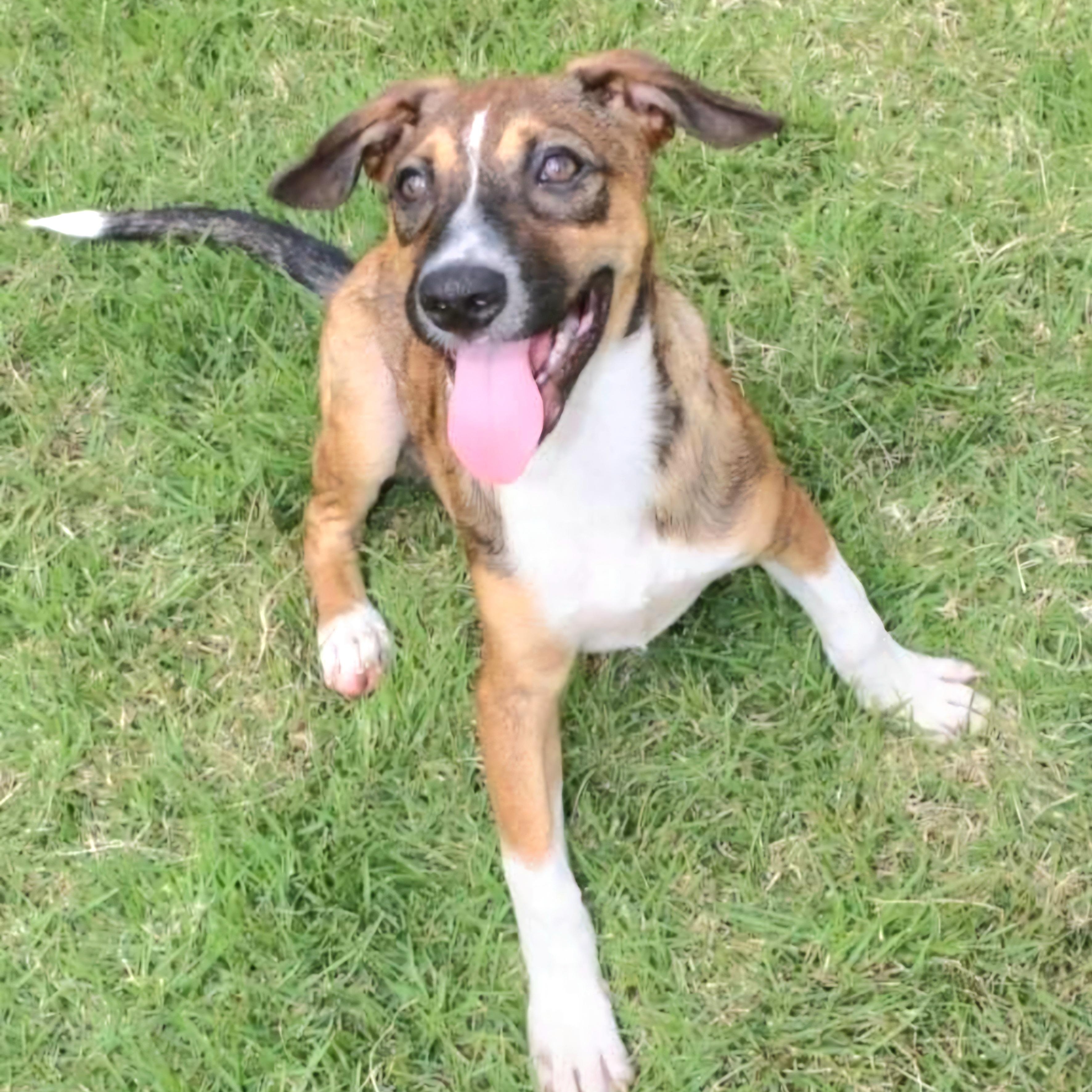 Ricky "i Am A thumbnail 5