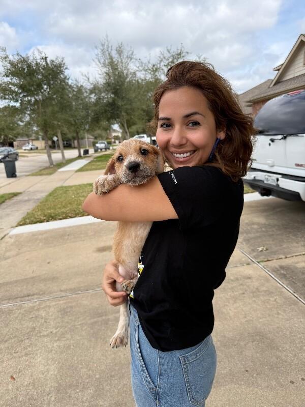 Jerry Scruffy — thumbnail 2