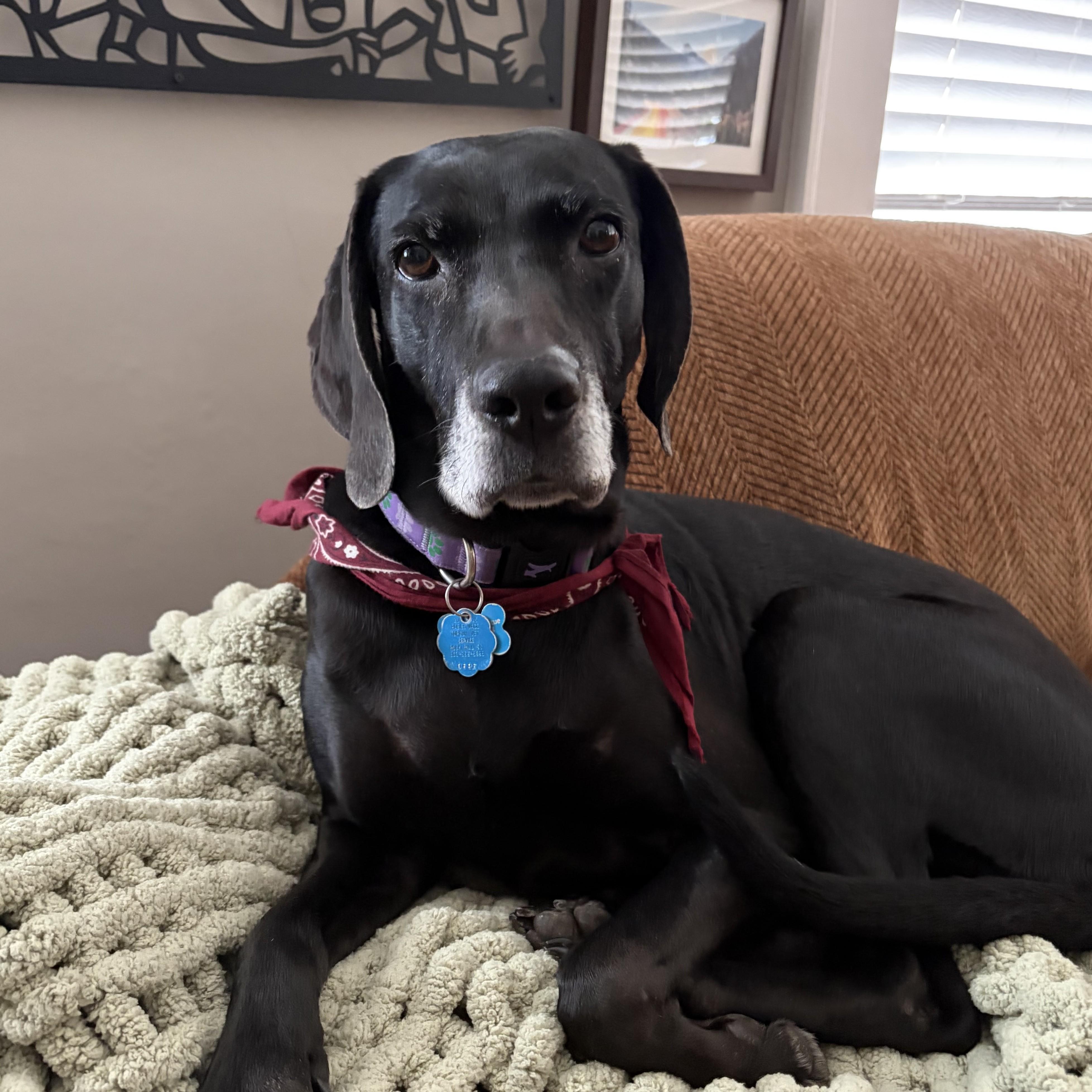 Danica — thumbnail 2