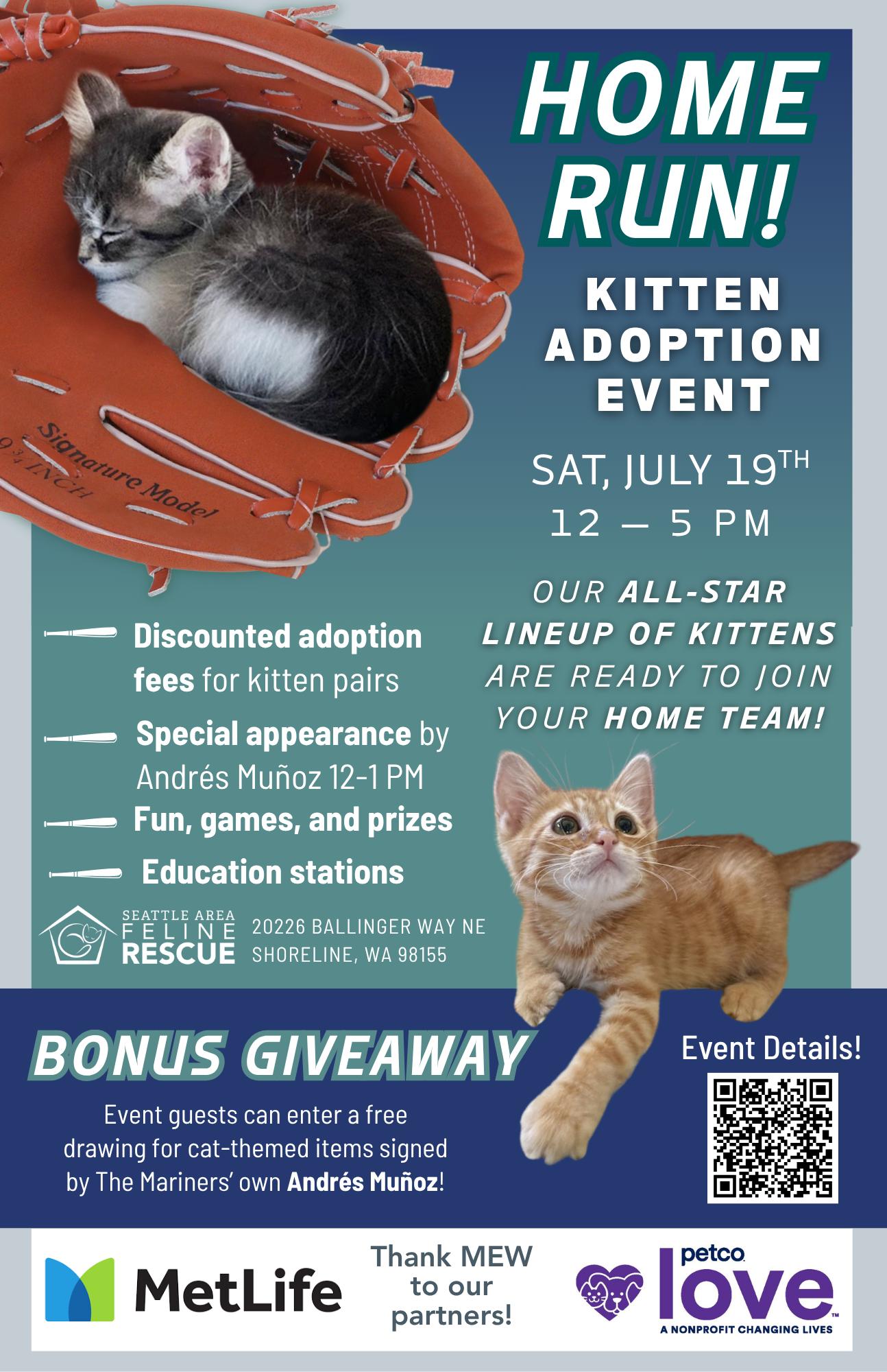 Home Run Adoption Event - Seattle Area Feline Rescue Domestic Short Hair Cat
