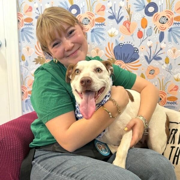 Shortcake Sweetie — thumbnail 2