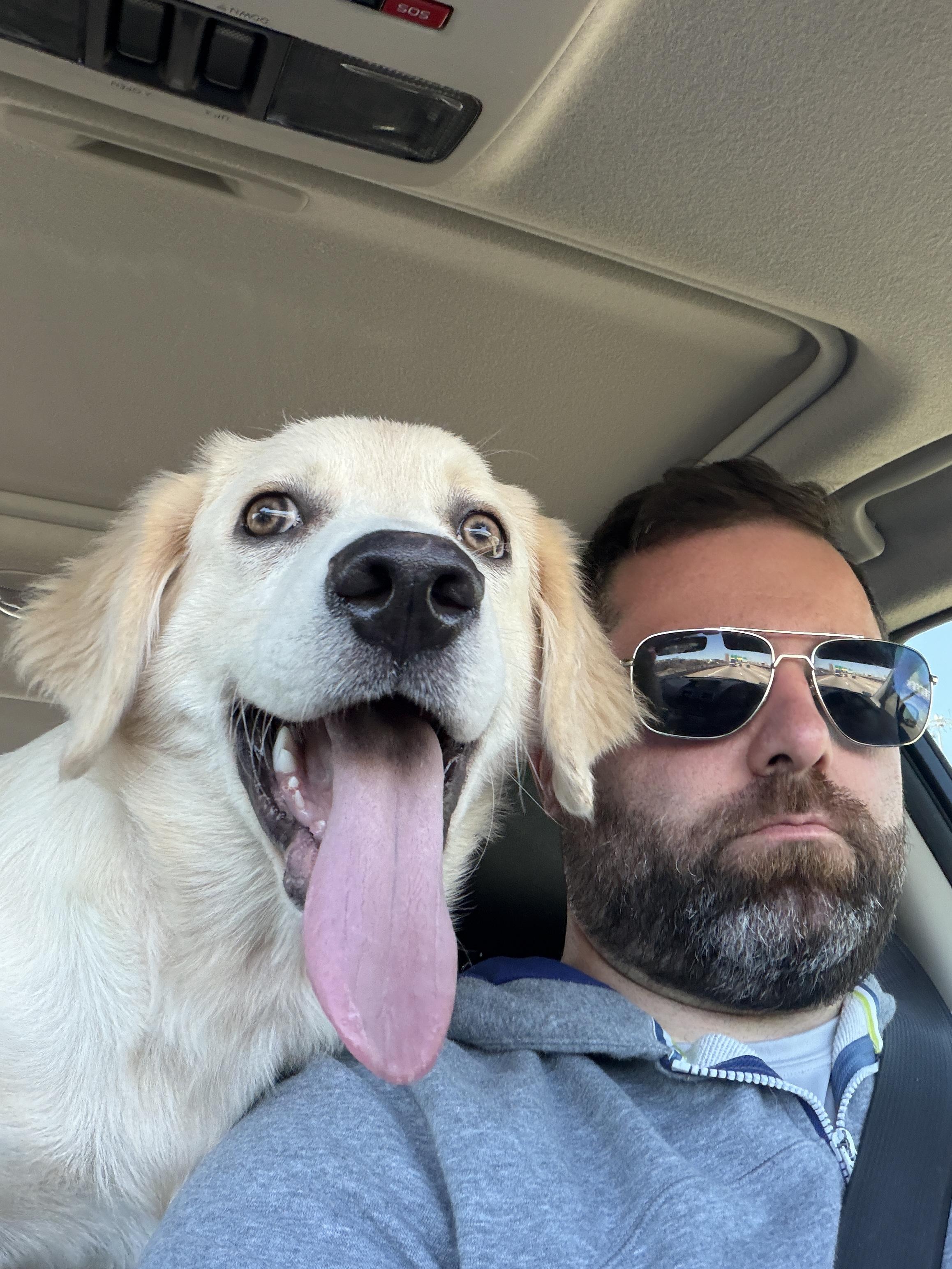 Enlarge Bodi , a ADOPTABLE Golden Retriever in Dallas, TX image 2/4