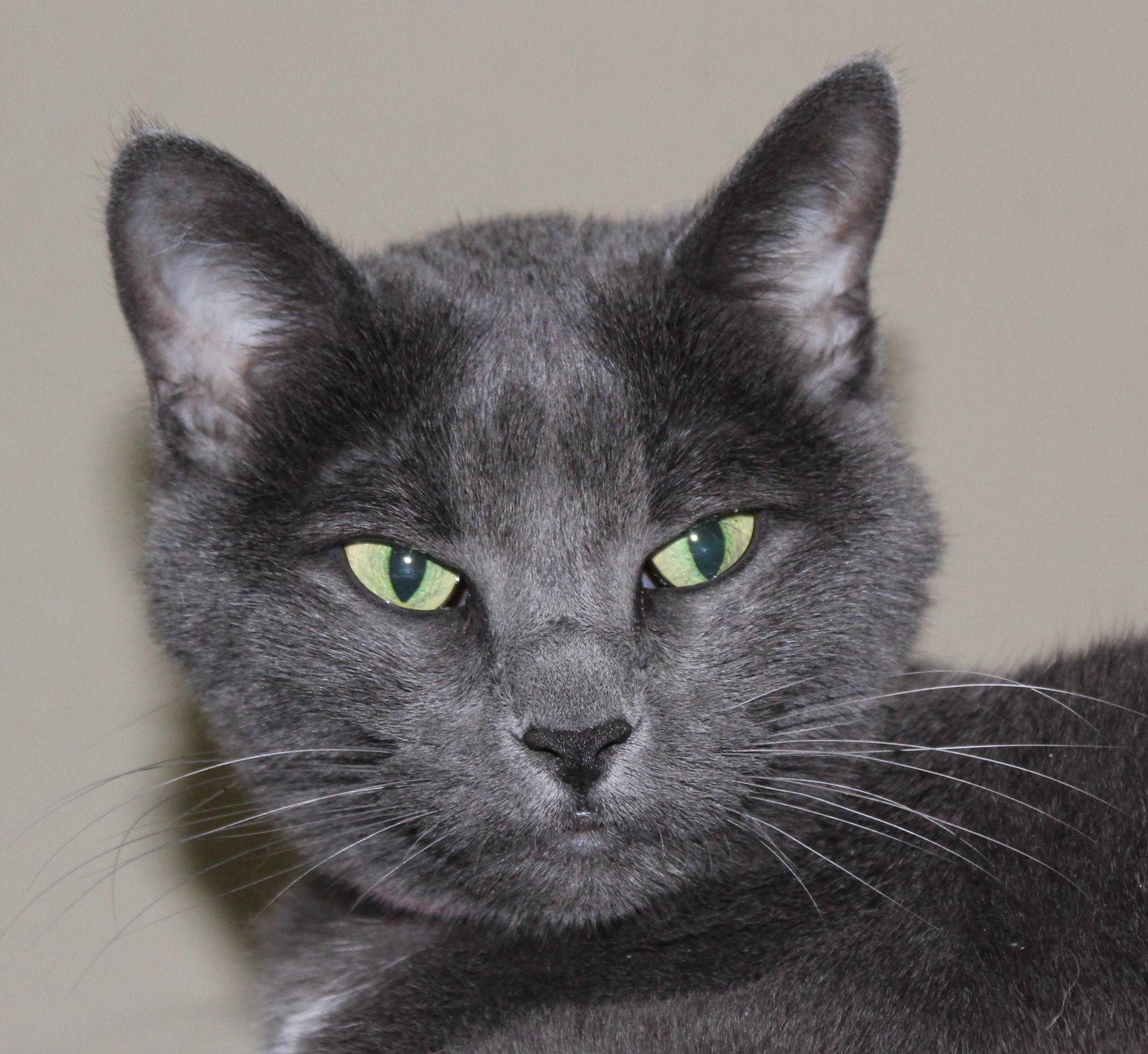 Mo, Adult Female unknown