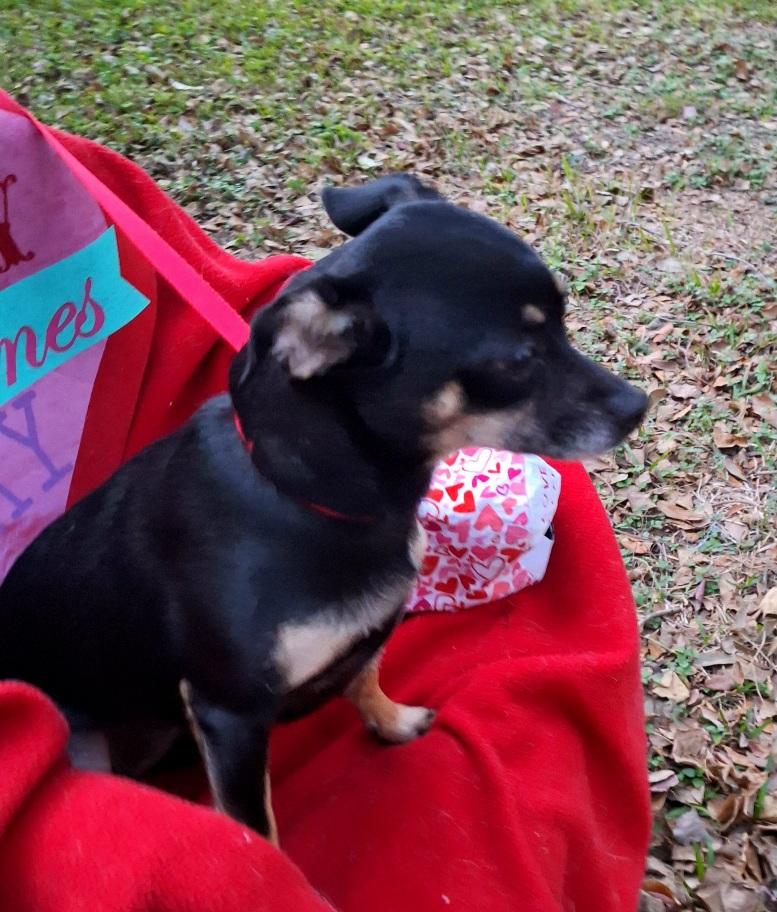 Rashana Wat thumbnail 2