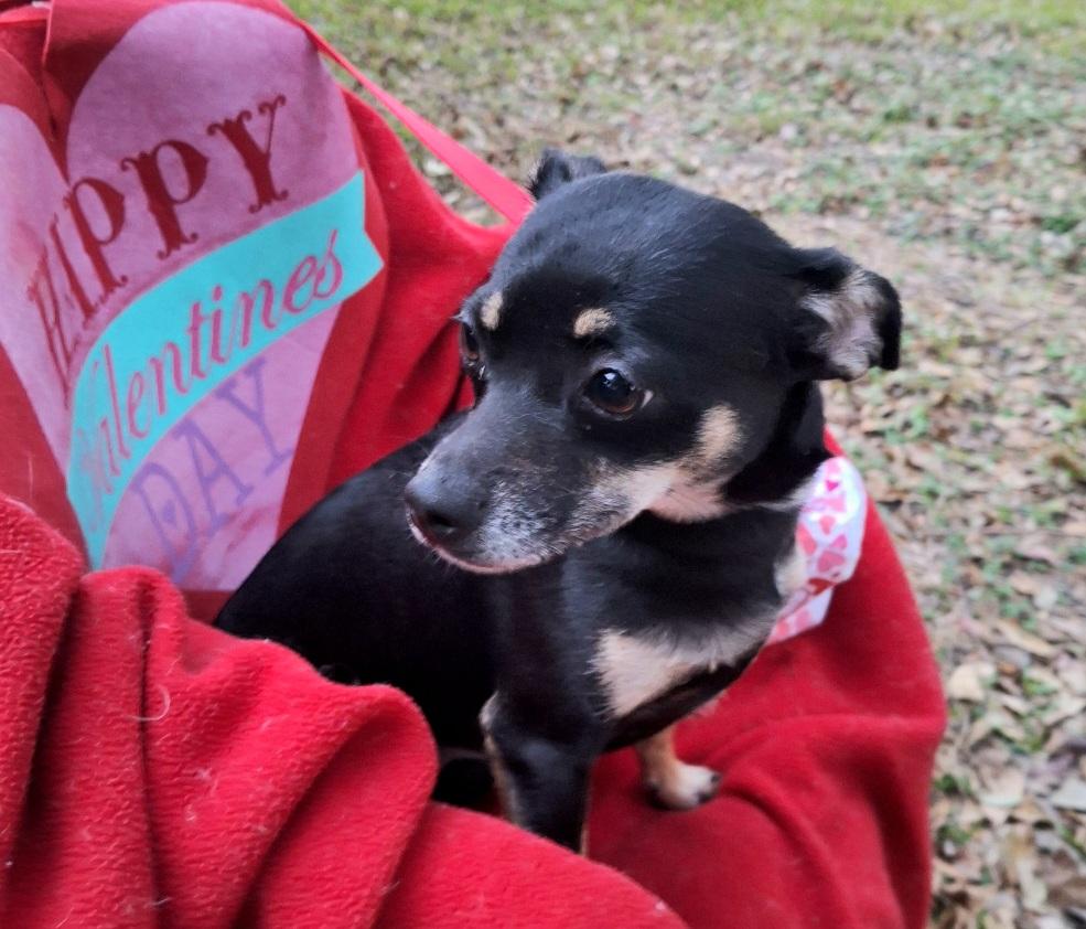 Rashana Wat thumbnail 3