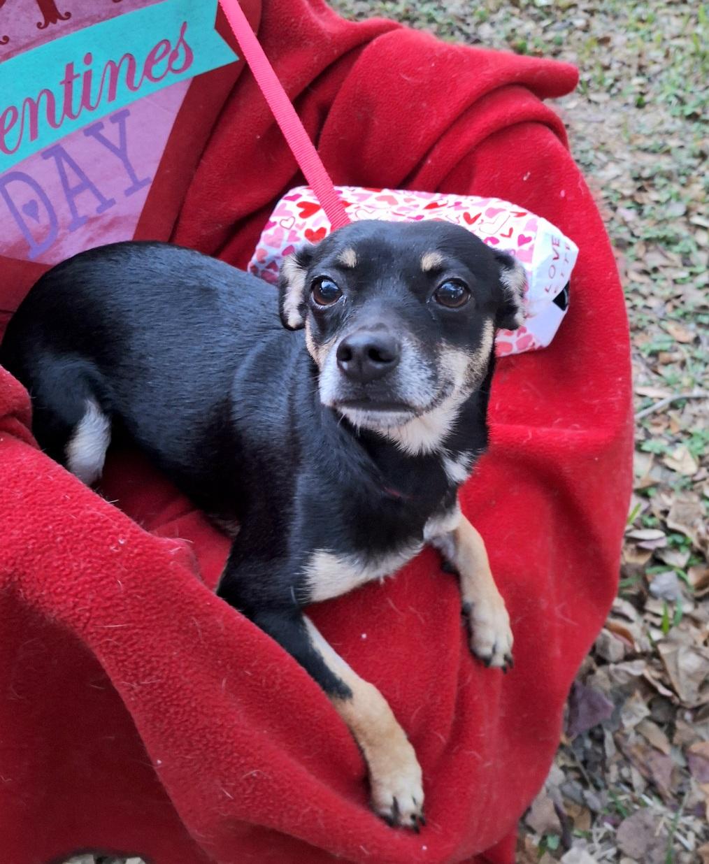 Rashana Wat thumbnail 4