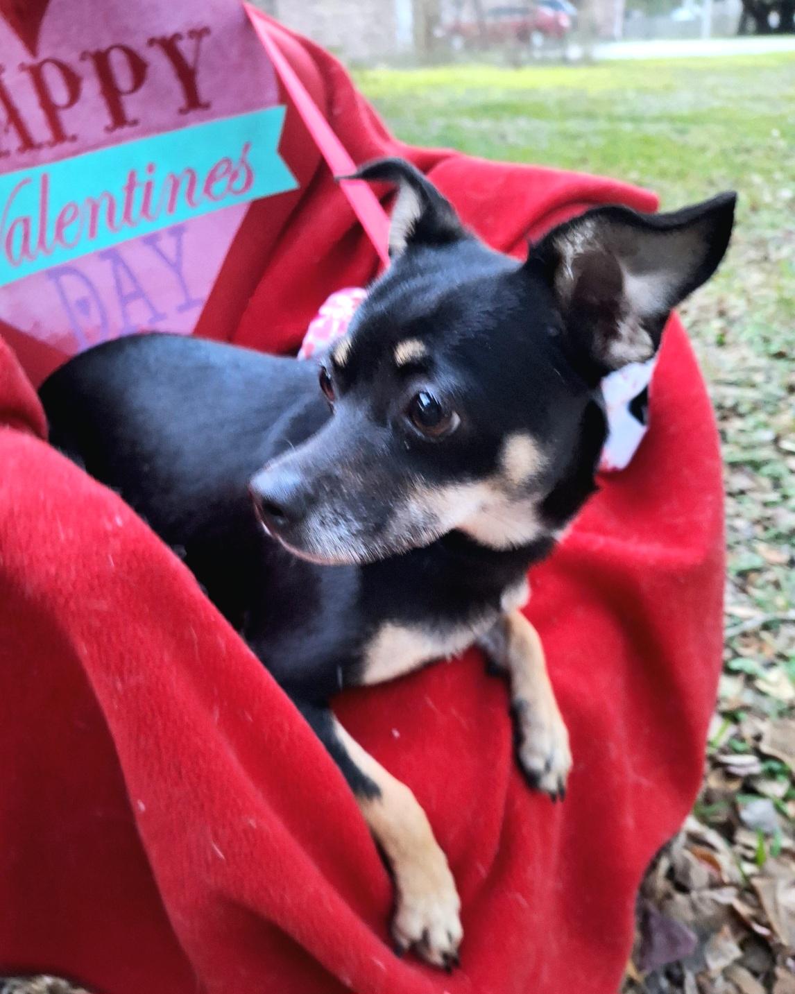 Rashana Wat thumbnail 5