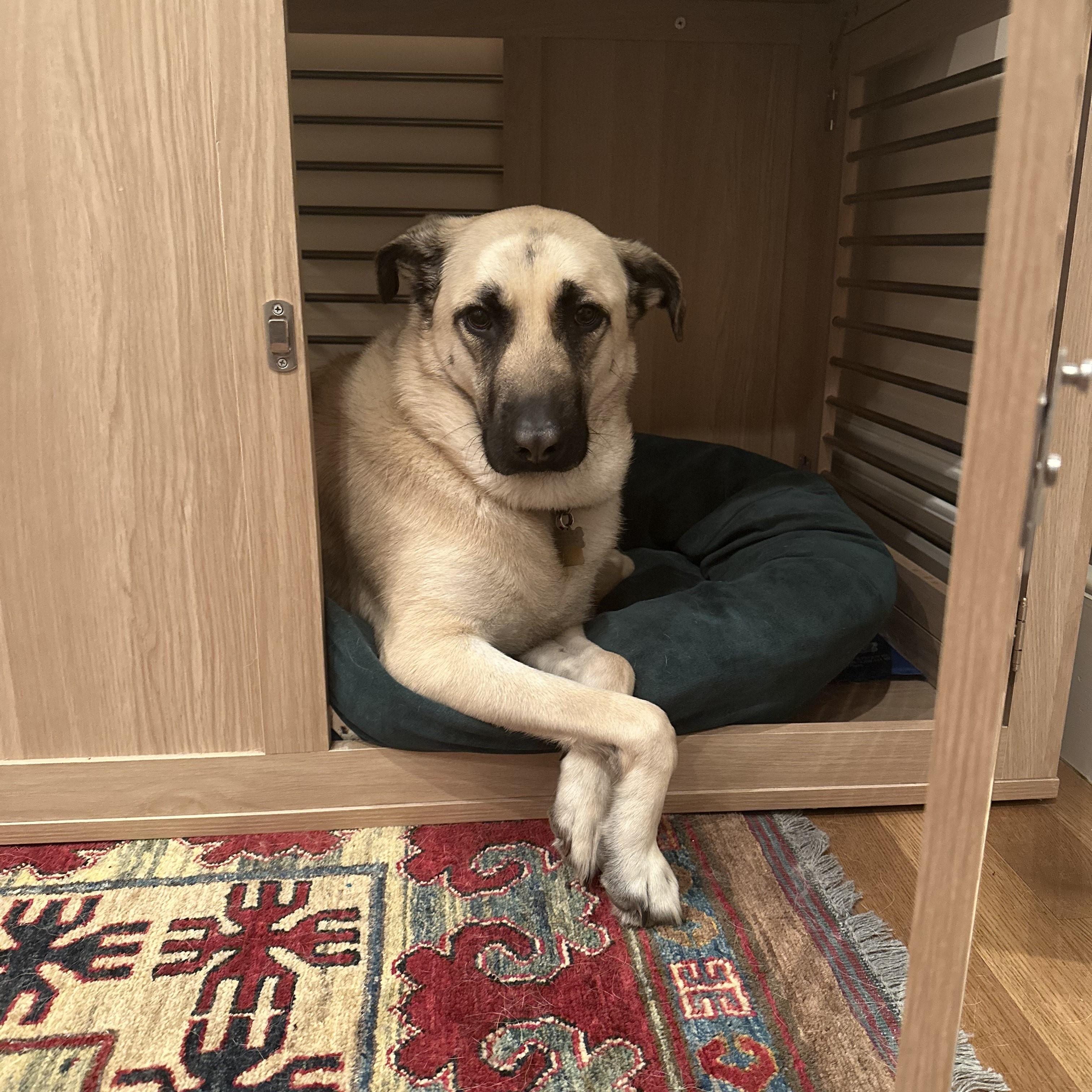 Elinor photo 2