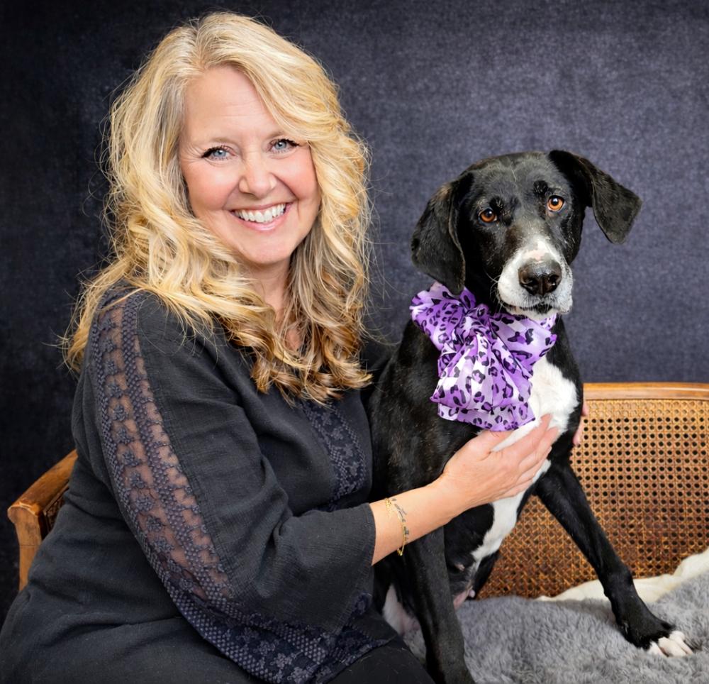 Nikki, a ADOPTABLE Mountain Cur in Cheboygan, MI image 2/6