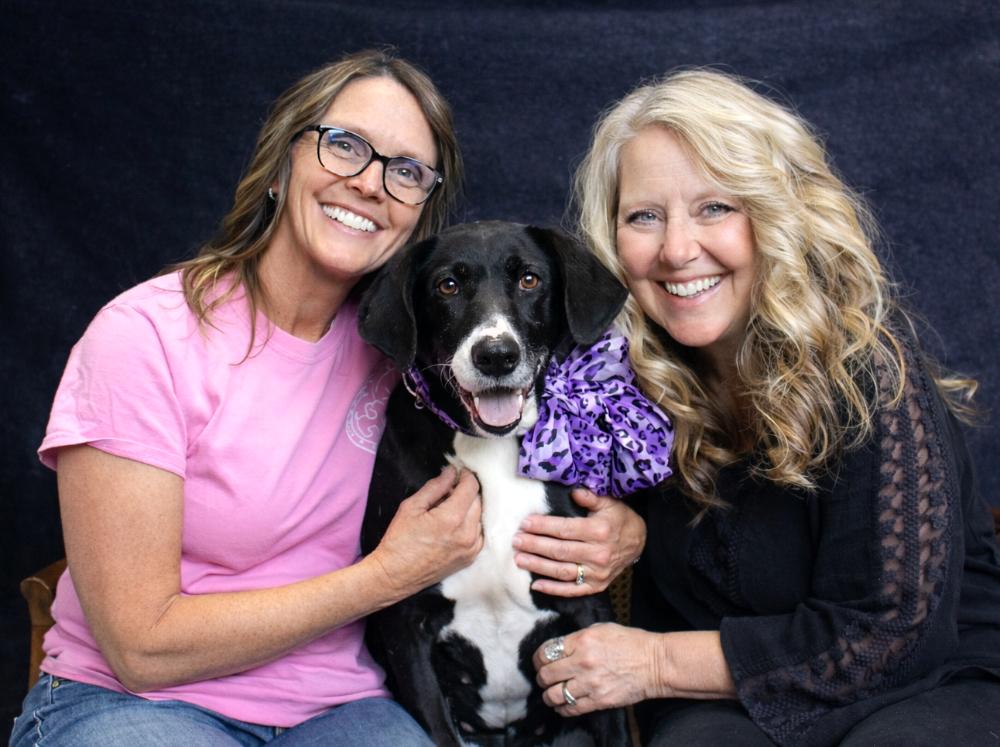 Nikki, a ADOPTABLE Mountain Cur in Cheboygan, MI image 3/6