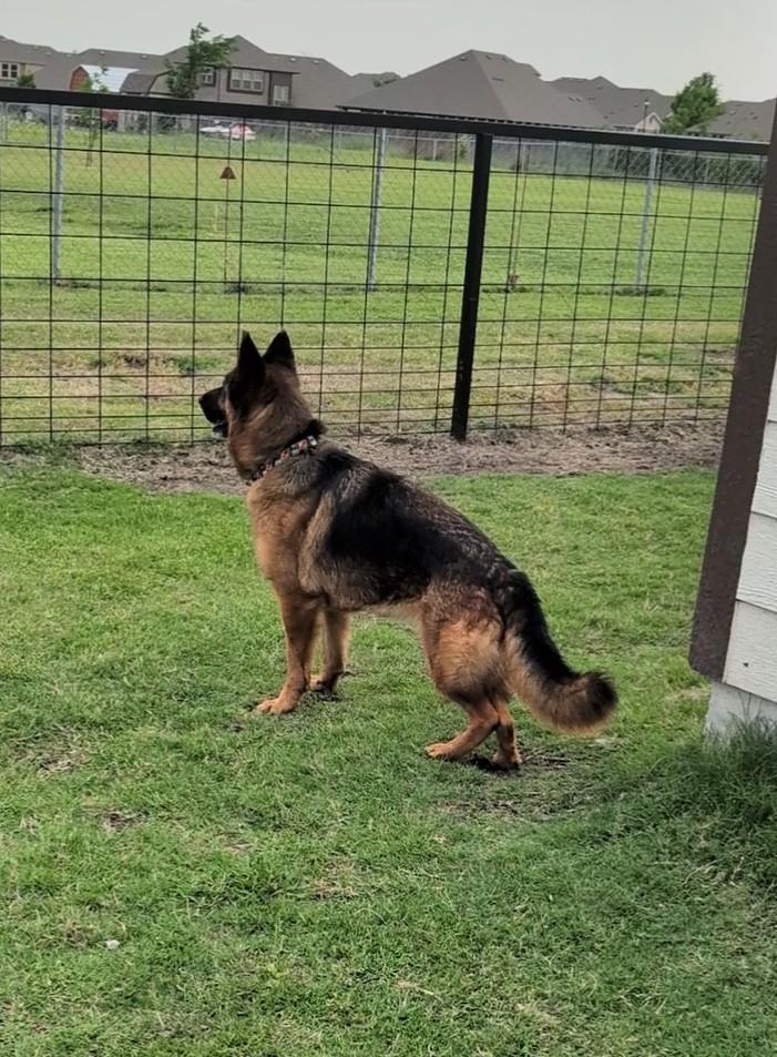 Farrah — thumbnail 2