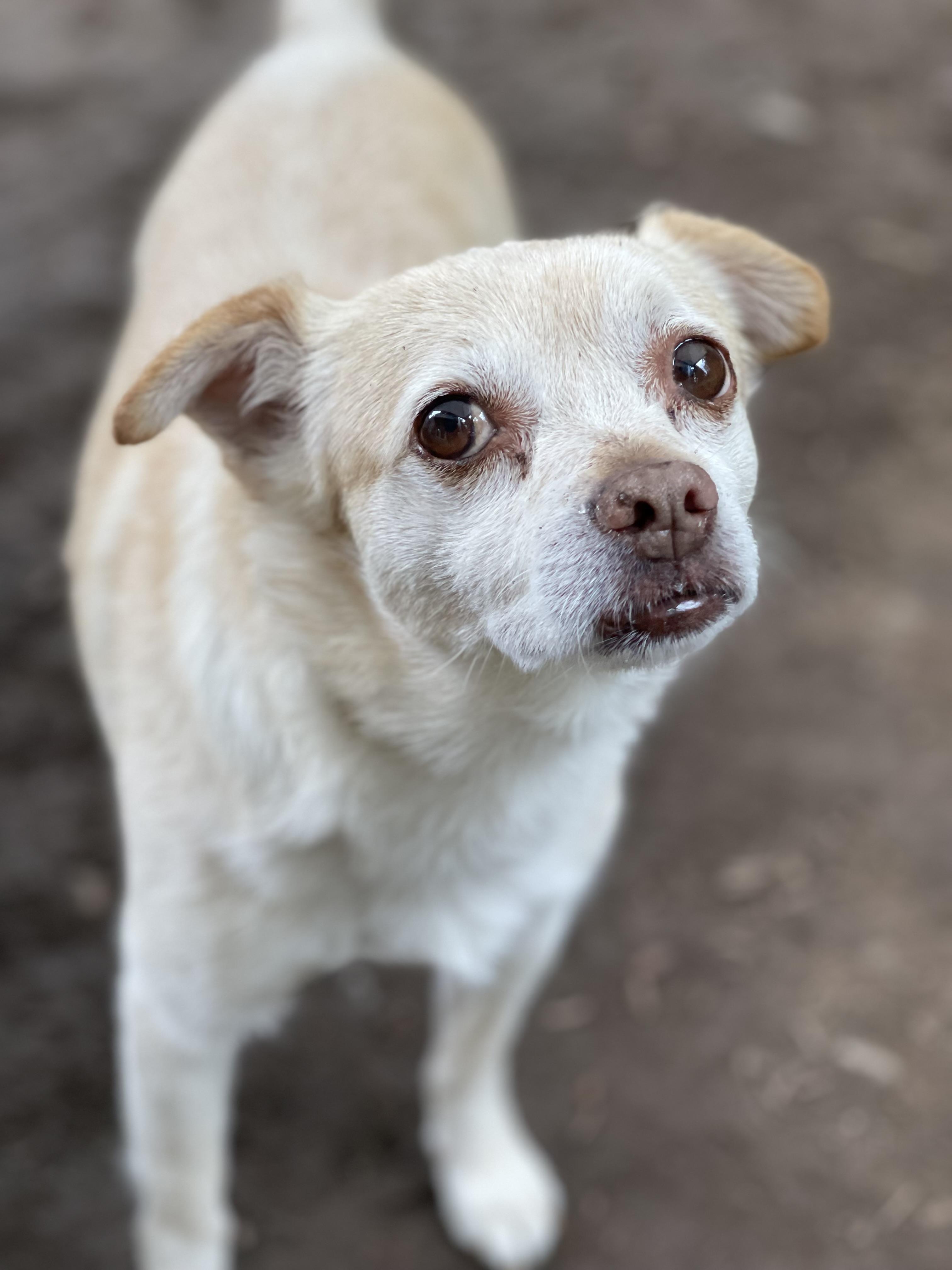 PACO
