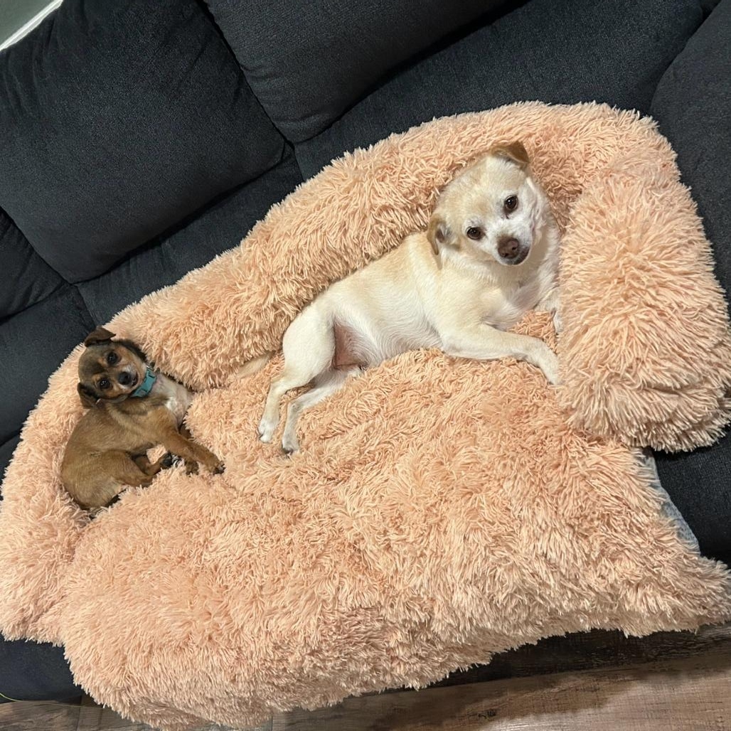 PACO