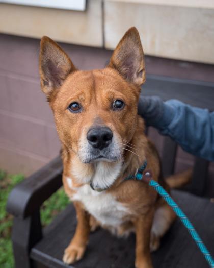 Bake Sale — thumbnail 3