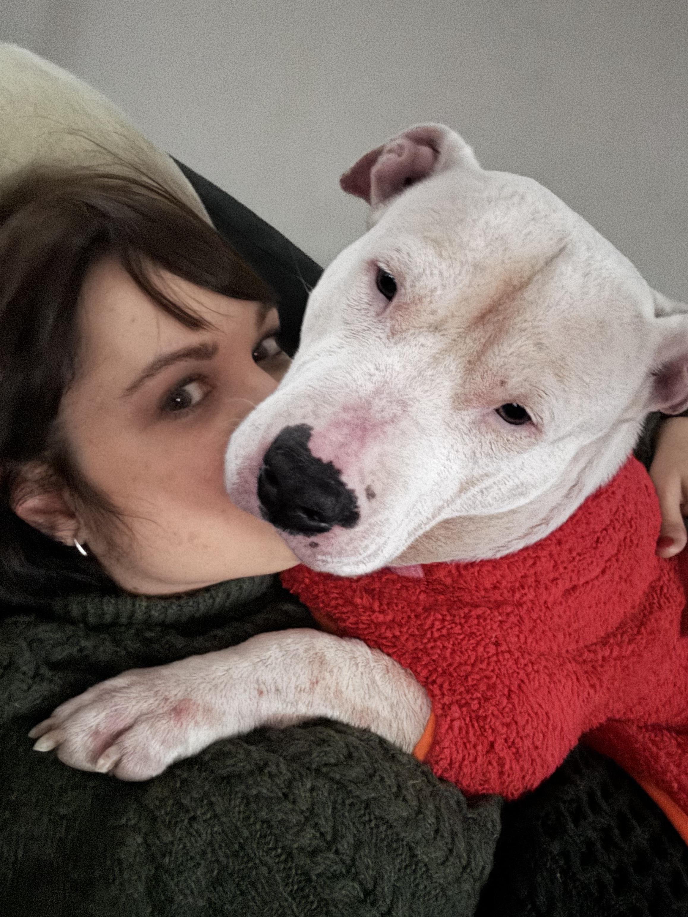 Enlarge Hope, an adoptable mixed breed in Wadsworth, OH image 4/4