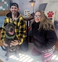 Enlarge Maverick, a Adopted mixed breed in Framingham, MA image 2/3