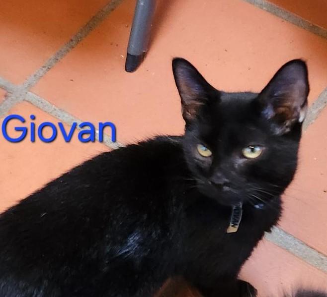 Giovan photo 1