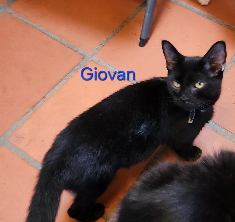 Giovan thumbnail 2
