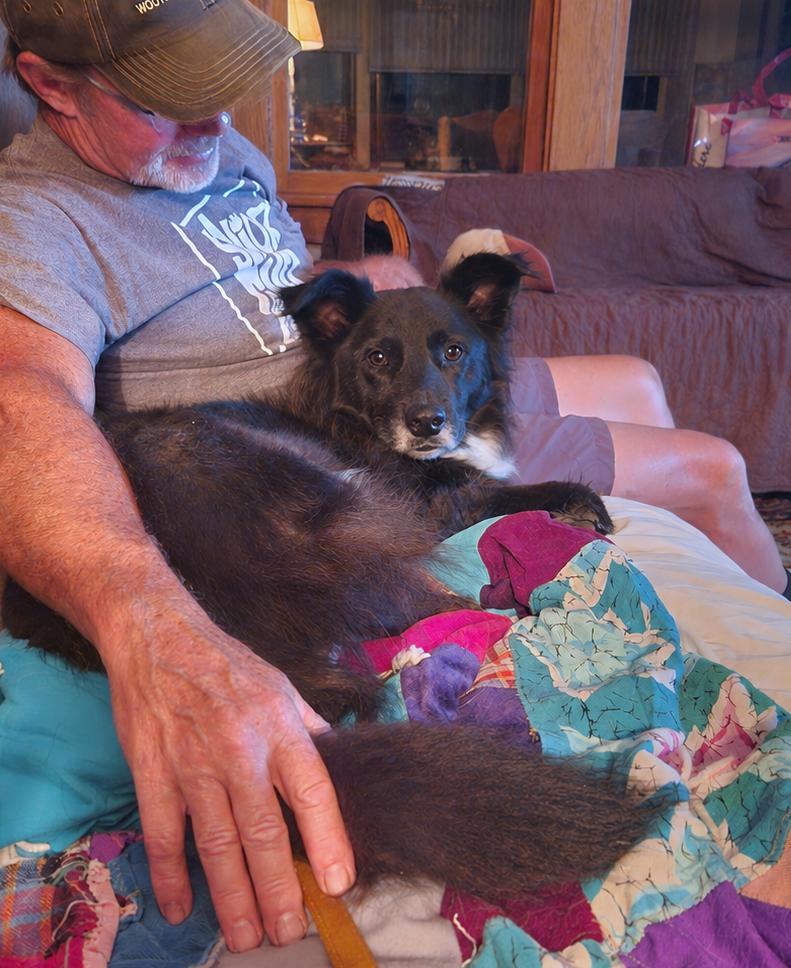 Cupcake, a Adoptable mixed breed in Minneapolis, MN image 5/6