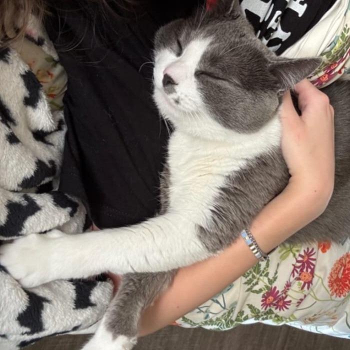 Hope — thumbnail 2