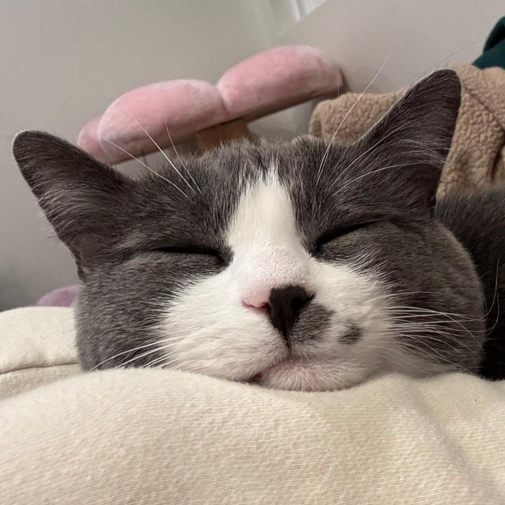 Hope — thumbnail 3