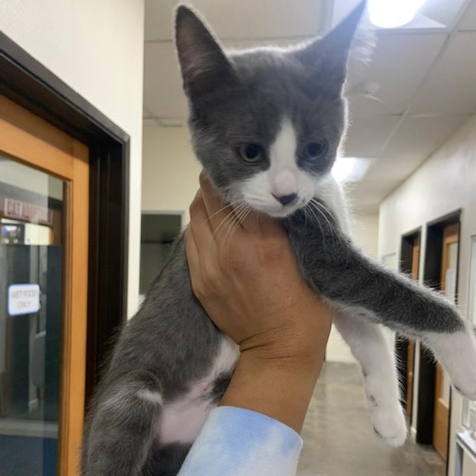 Hope — thumbnail 4