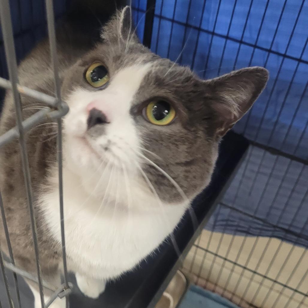 Hope — thumbnail 6