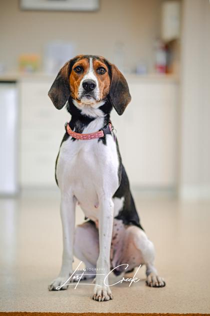 Allie — thumbnail 3