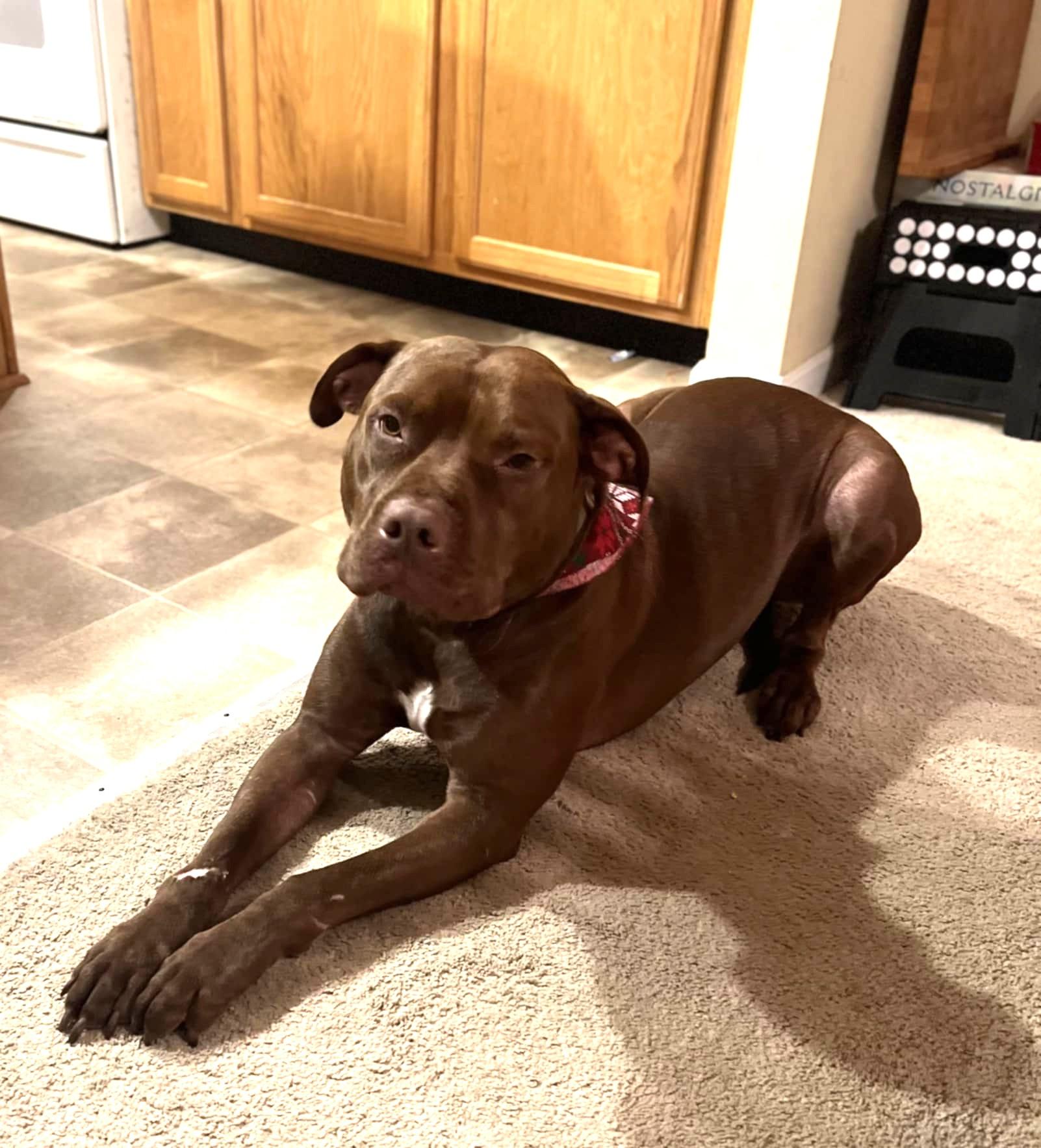 Zeus photo 5