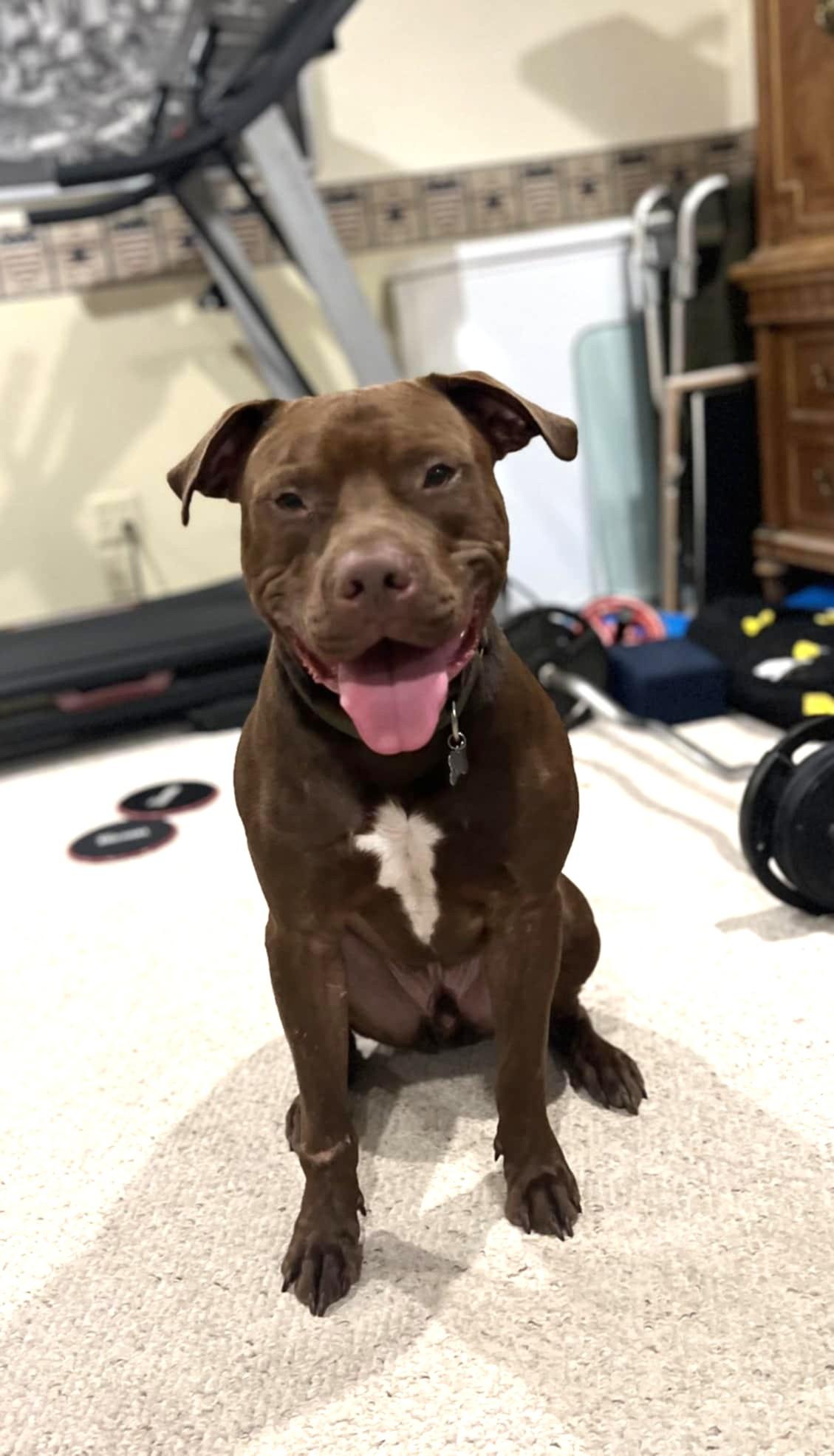 Zeus