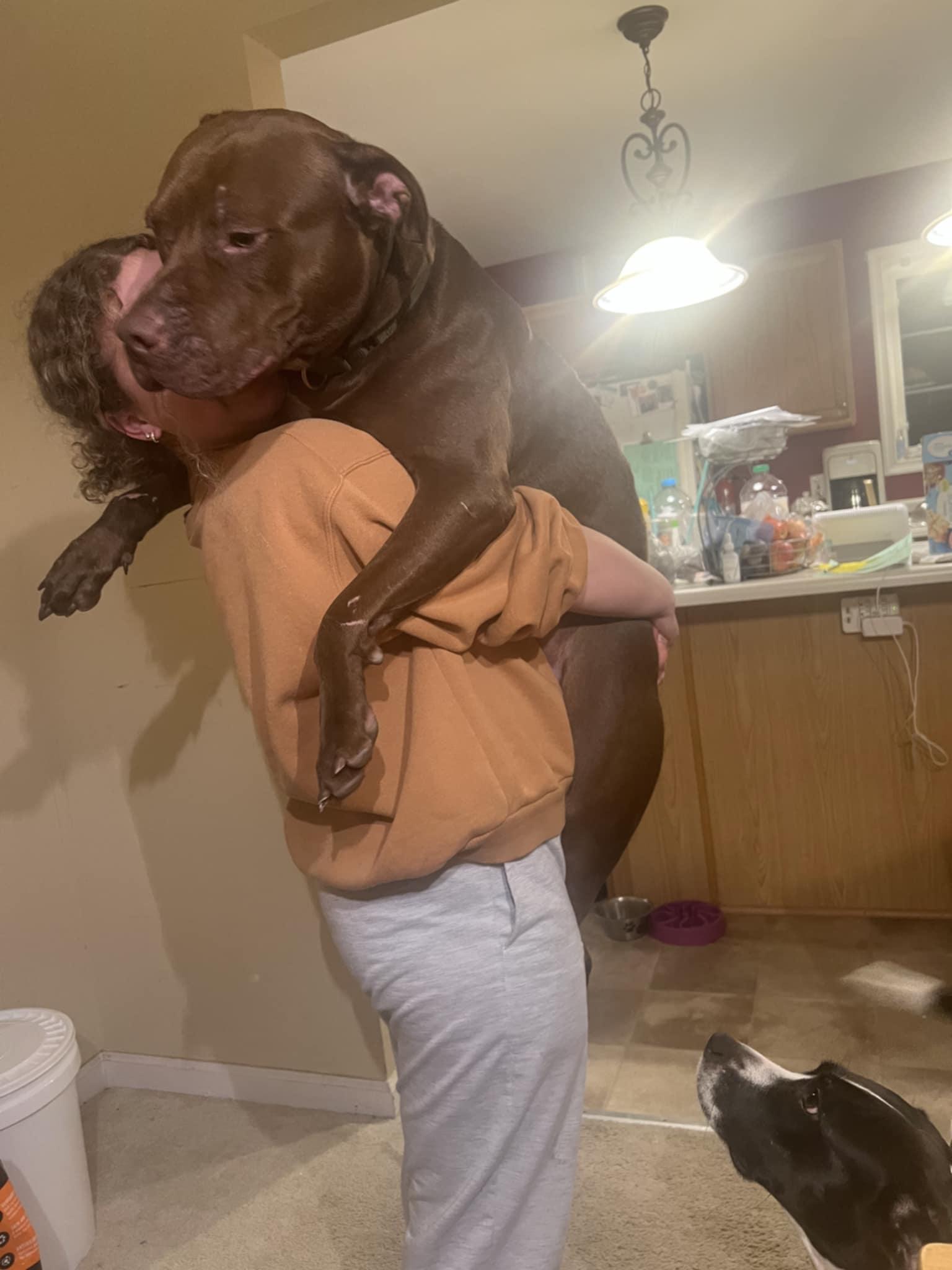 Zeus photo 4