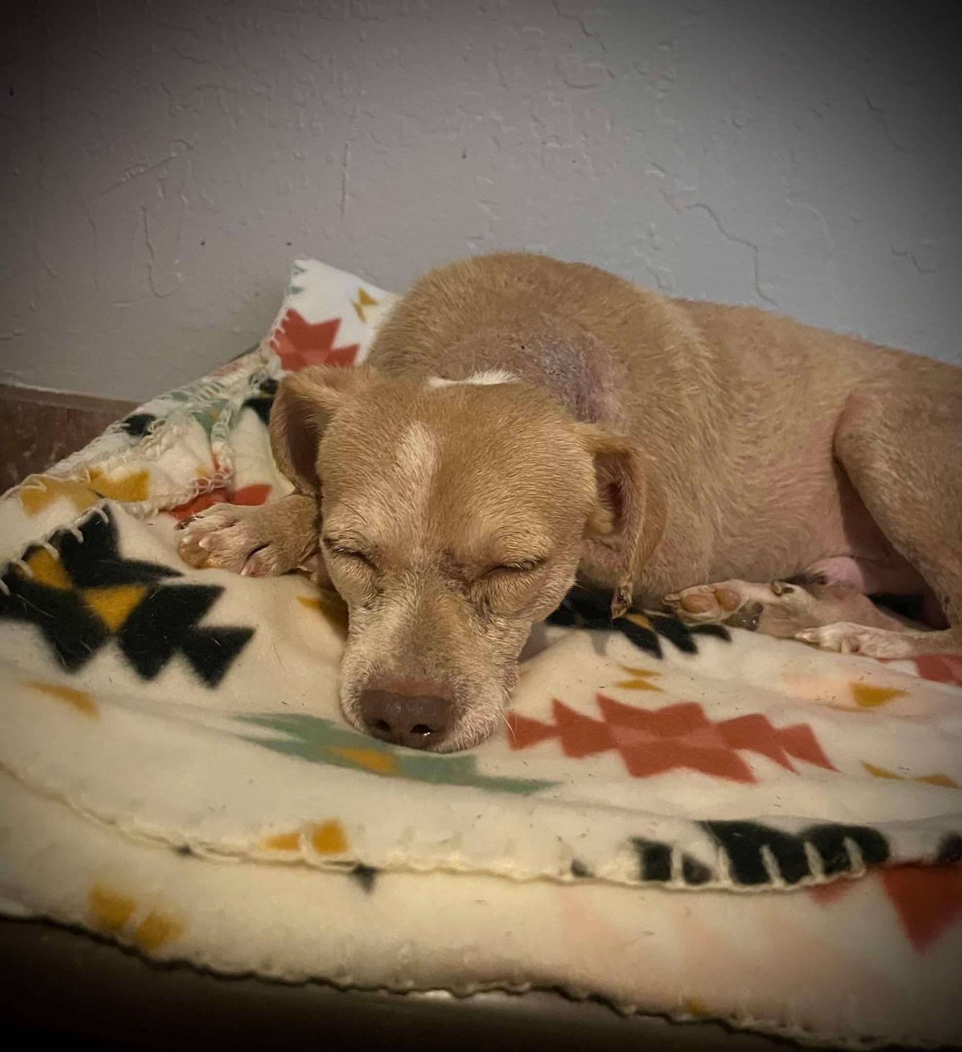 Franklin D Roosevelt 