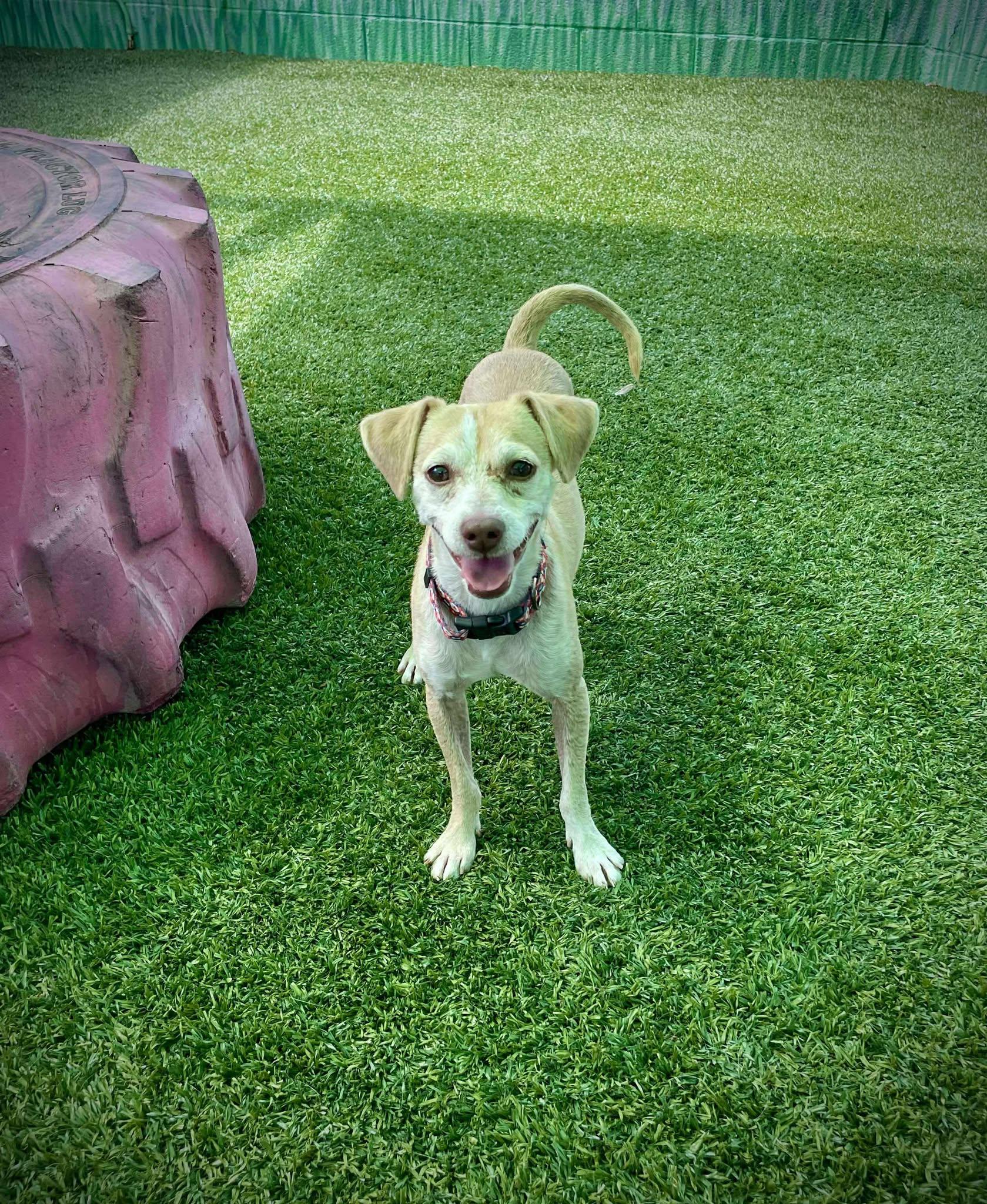 Franklin D Roosevelt 