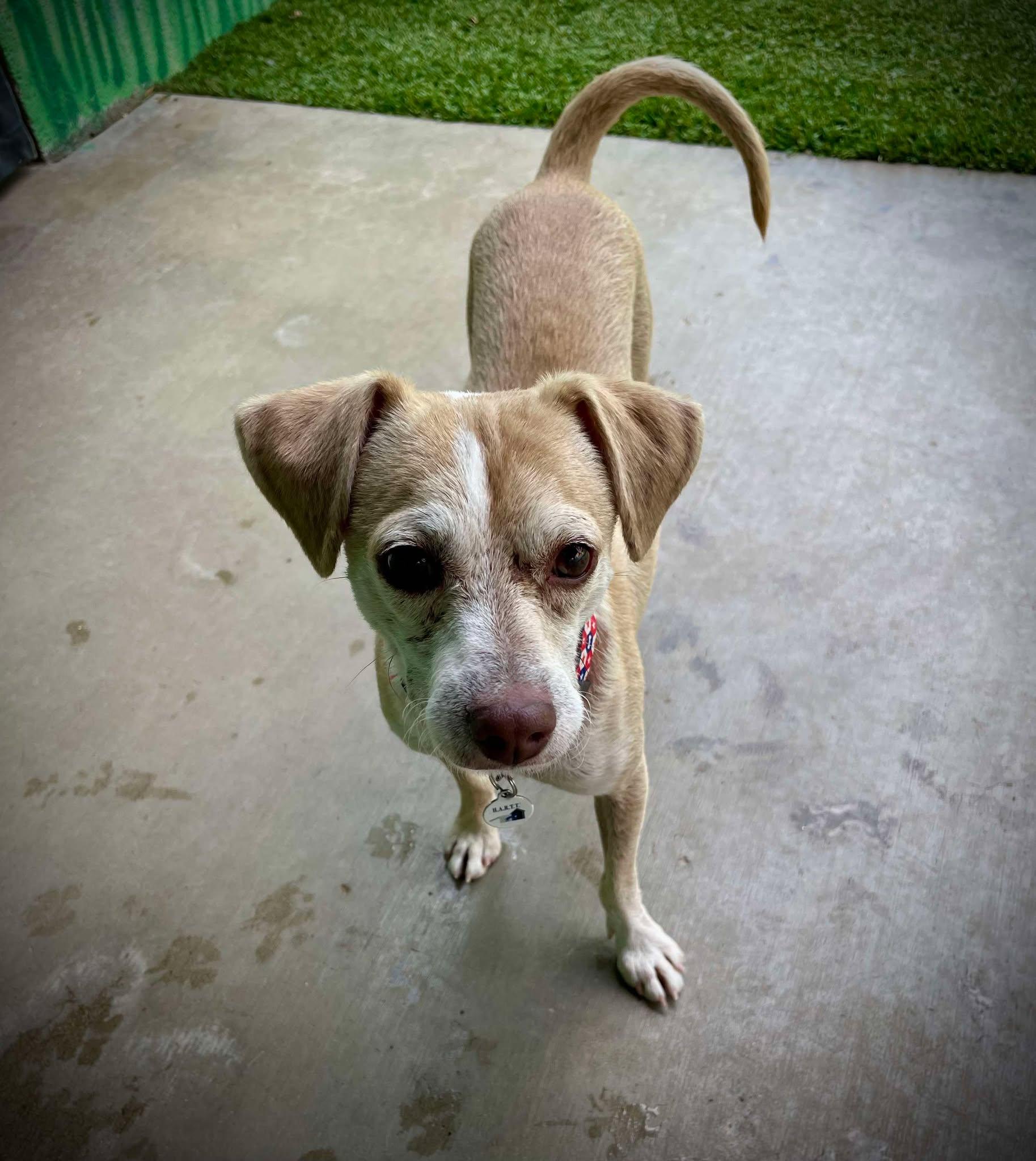 Franklin D Roosevelt 