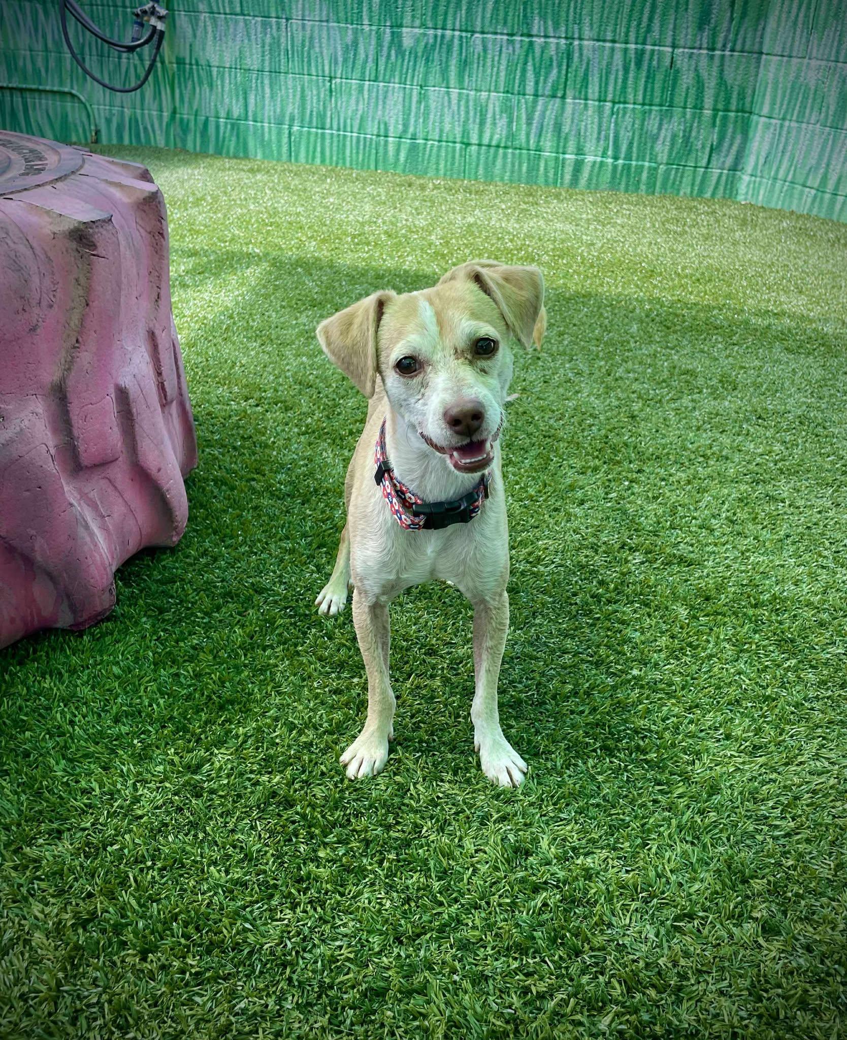 Franklin D Roosevelt 