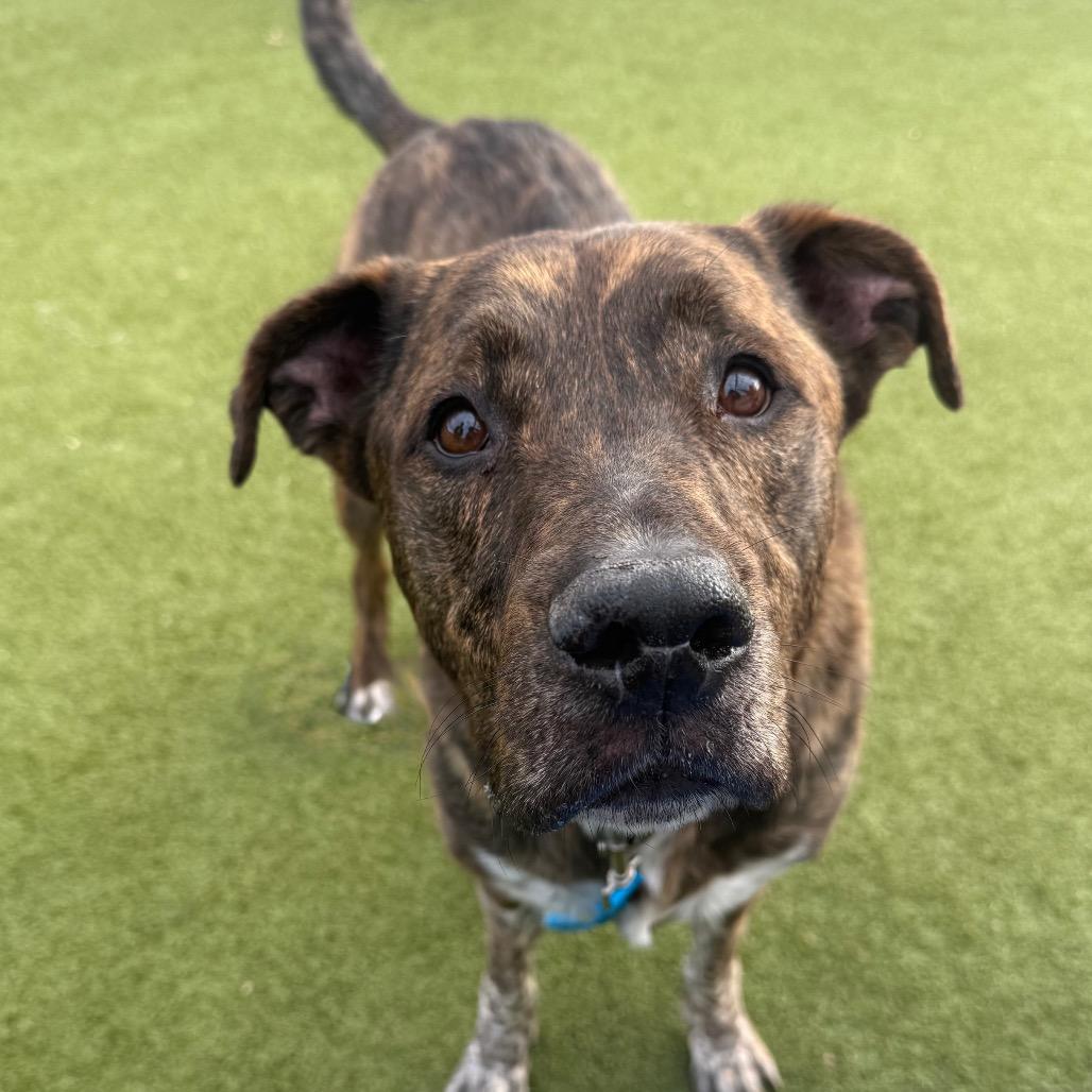 Andy — thumbnail 4