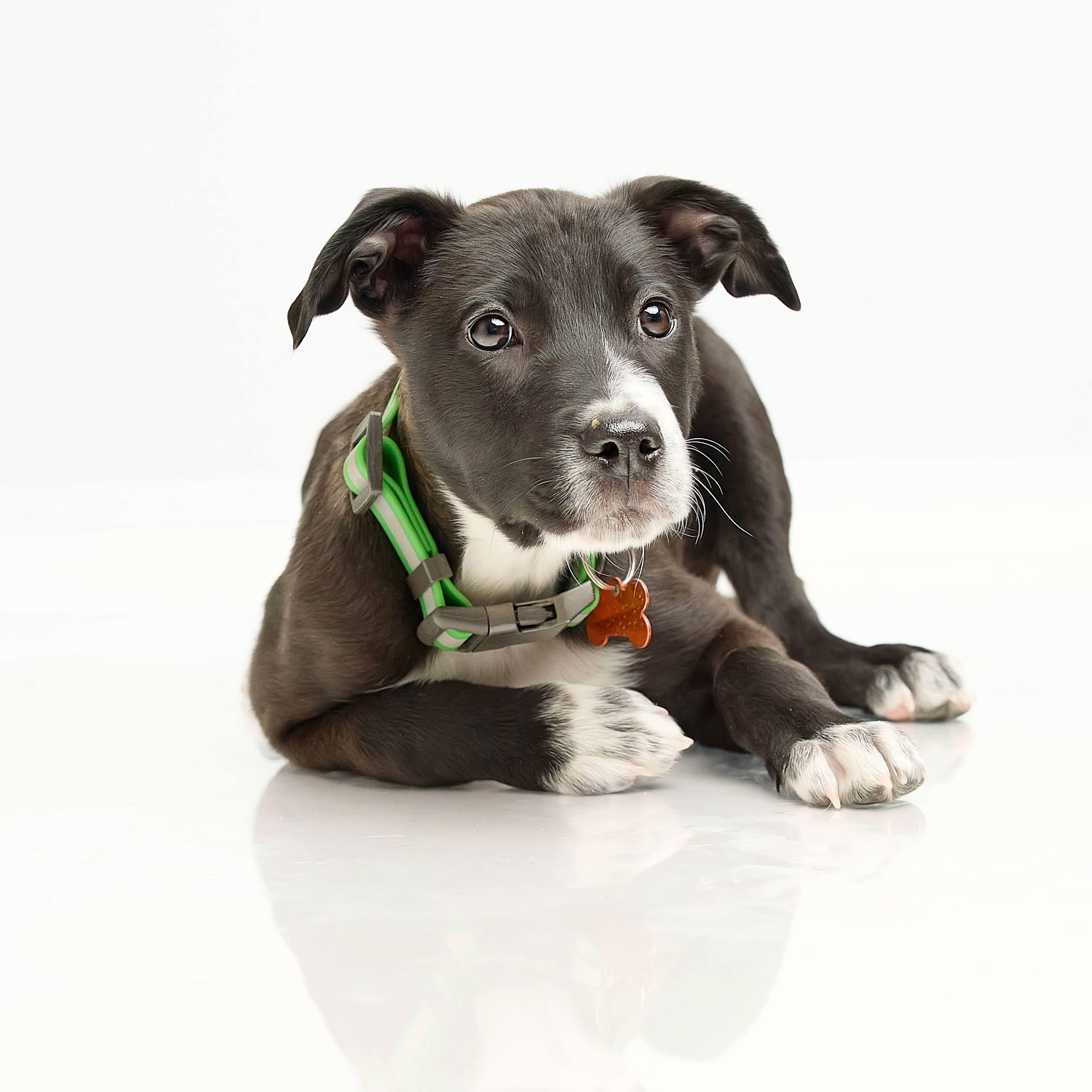 Janco — thumbnail 2