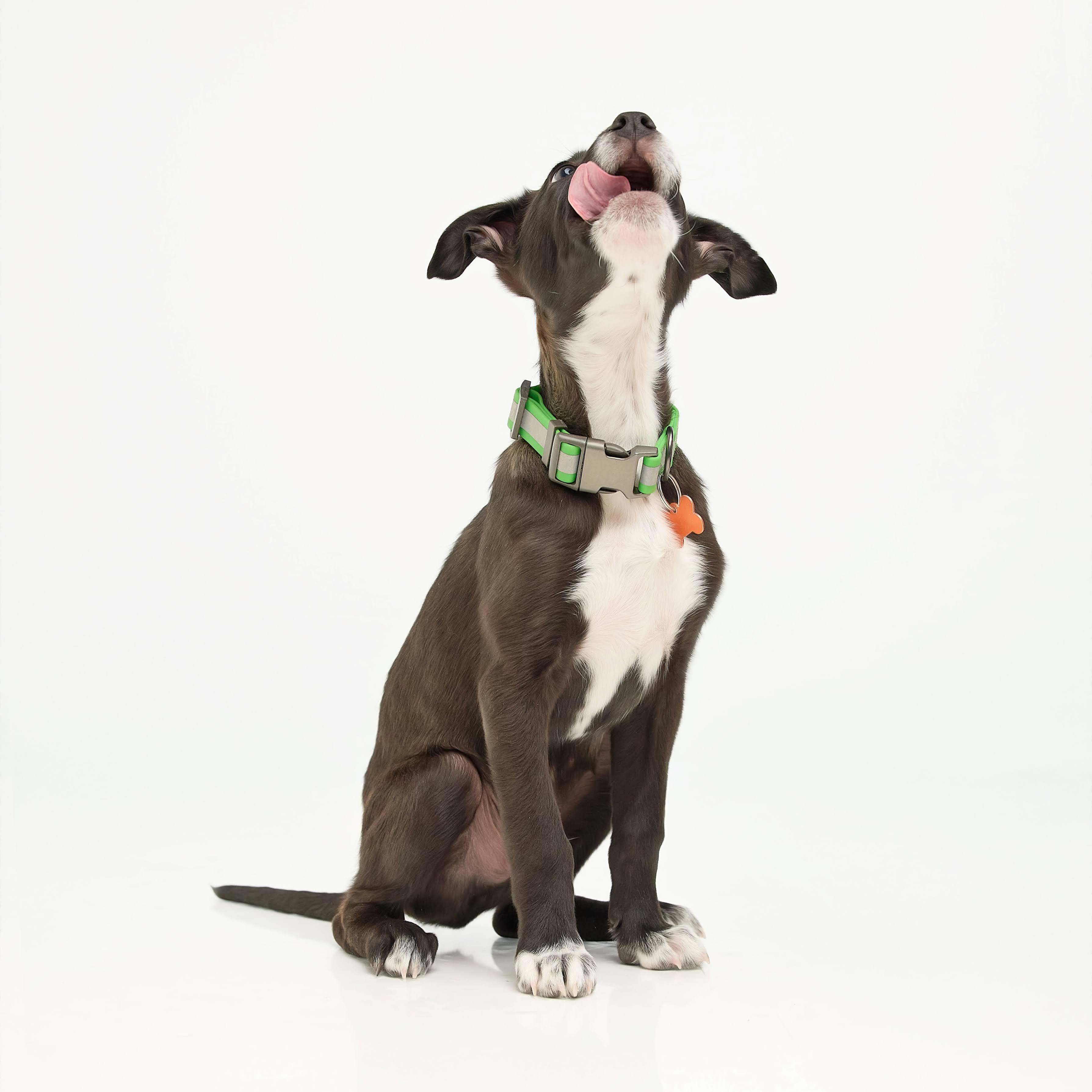 Janco — thumbnail 4