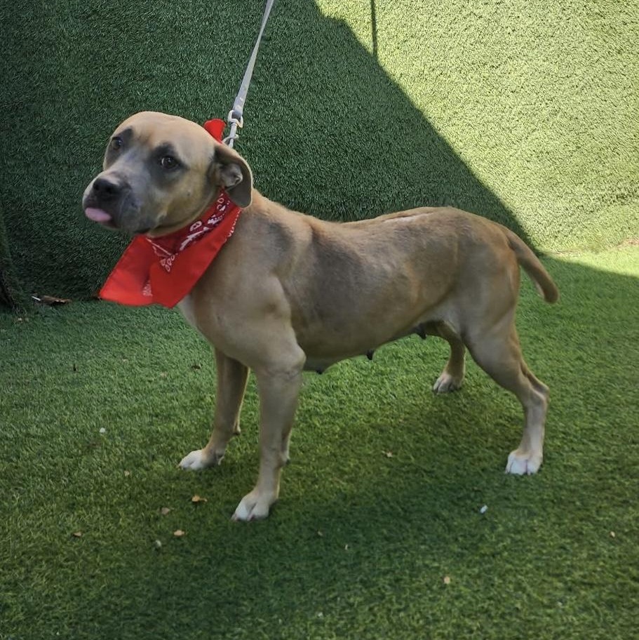 Charlene — thumbnail 4