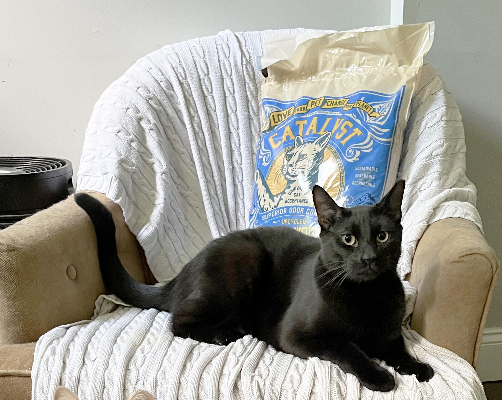 Mica & Milo Delancey photo 2