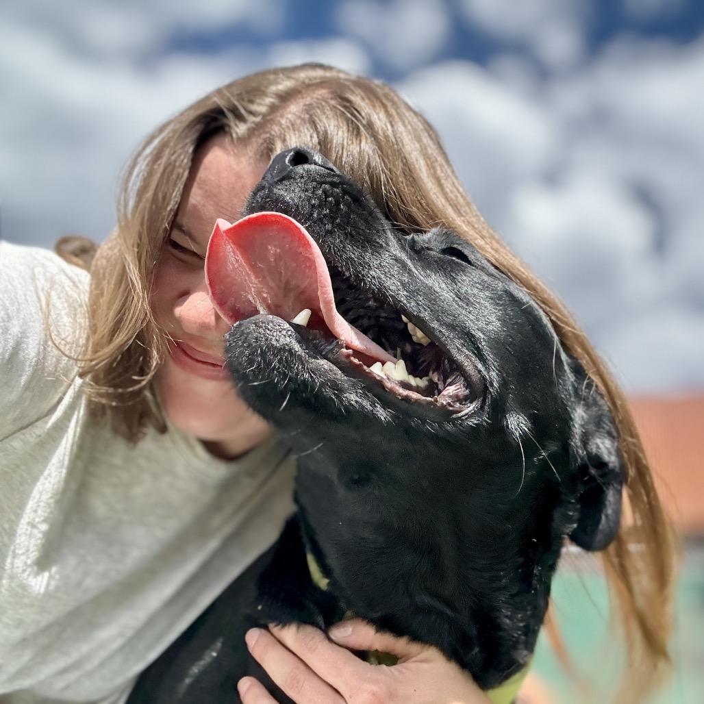 Isabella, a Adoptable mixed breed in Glenwood Springs, CO image 3/6