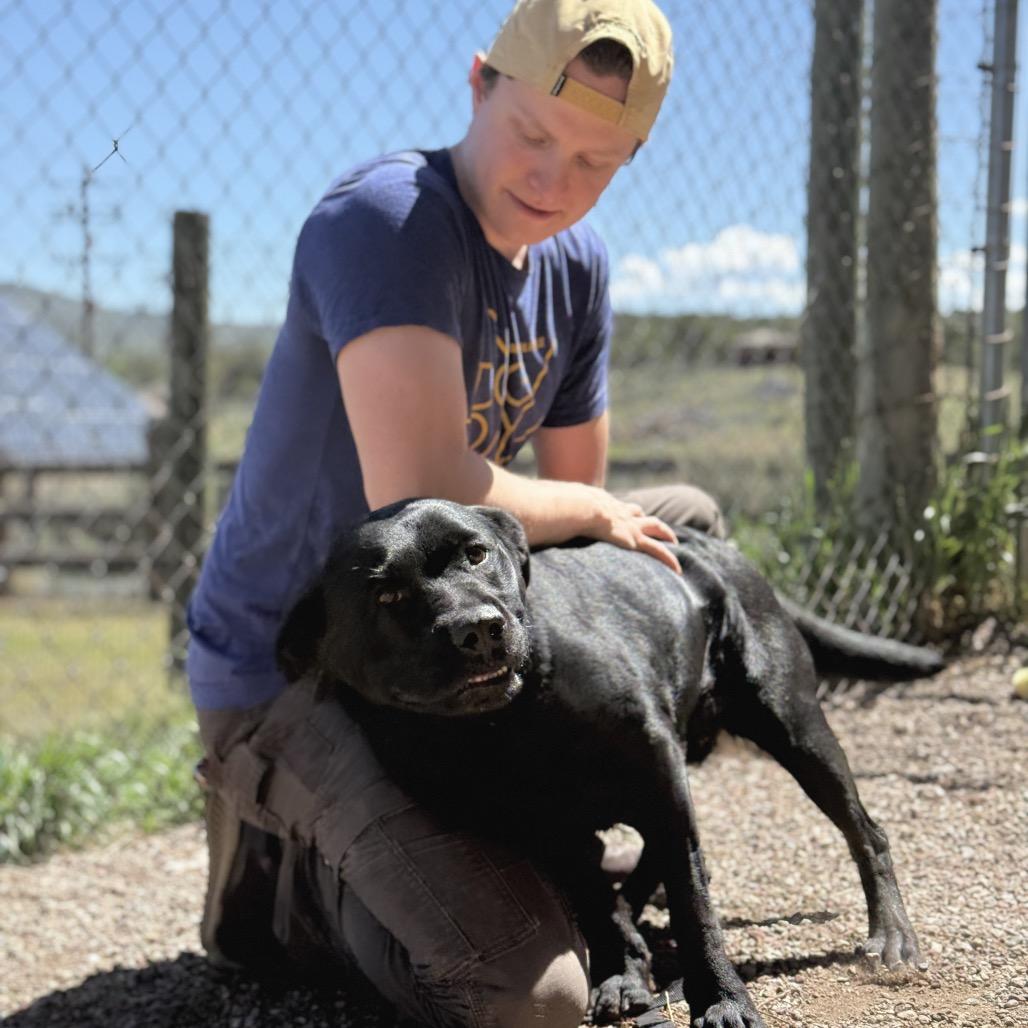Isabella, a Adoptable mixed breed in Glenwood Springs, CO image 5/6
