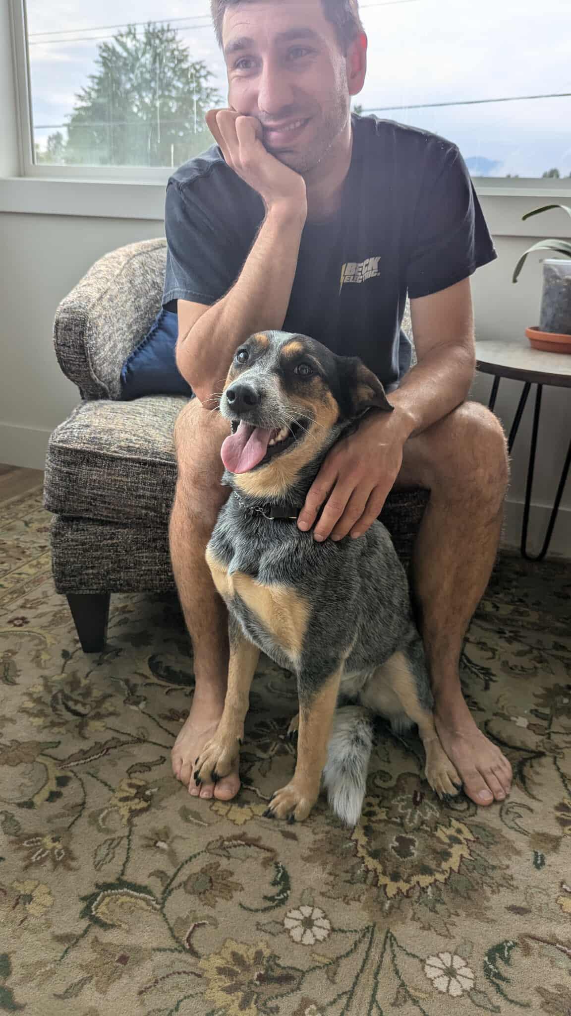 Maggie, Adoptable, Young Female Cattle Dog.